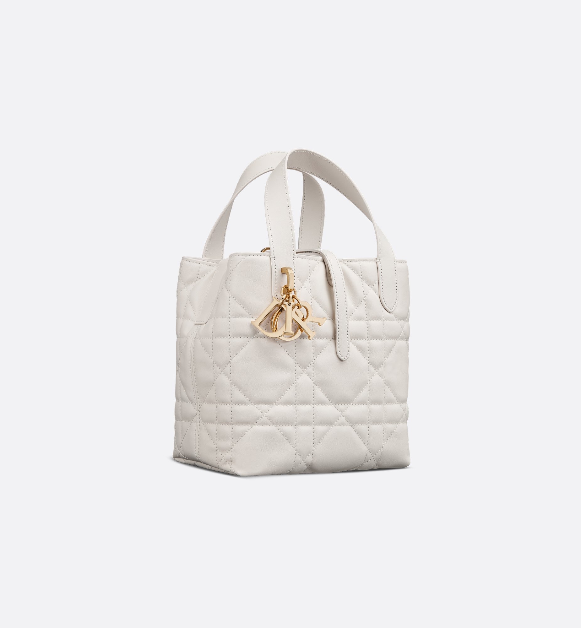 DIOR | 【日本限定】30 Montaigne ジップバッグ グレインド DIOR | 【日本限定】30 Montaigne ジップバッグ グレインド