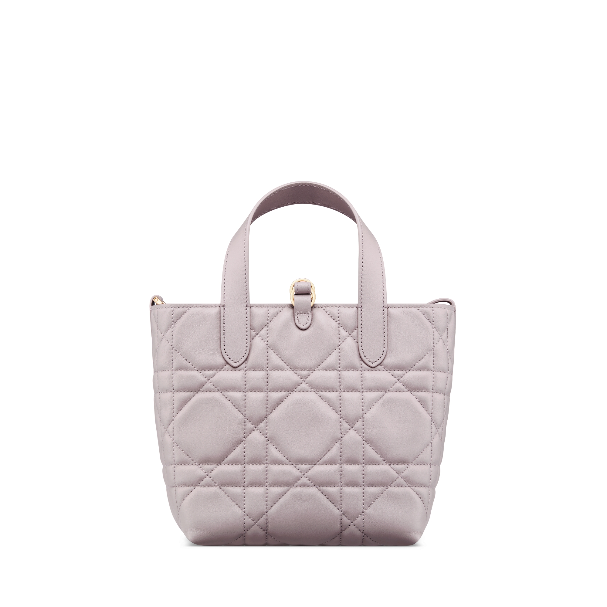 Dior Toujours バーティカル トートバッグ スモール マクロカナージュ カーフスキン E08