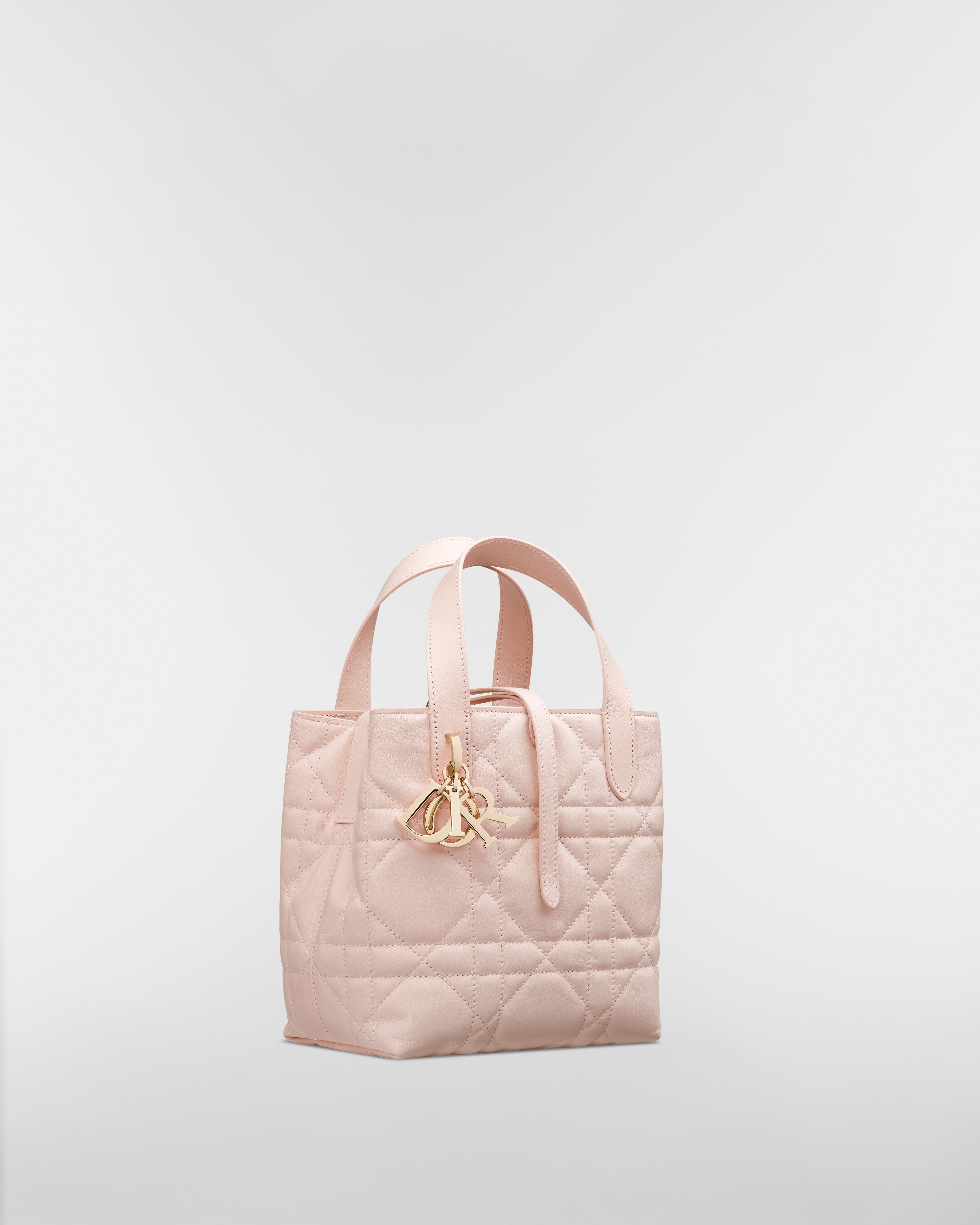 Sac cabas vertical Dior Toujours Small Cuir de veau Macrocannage rose poudre E03