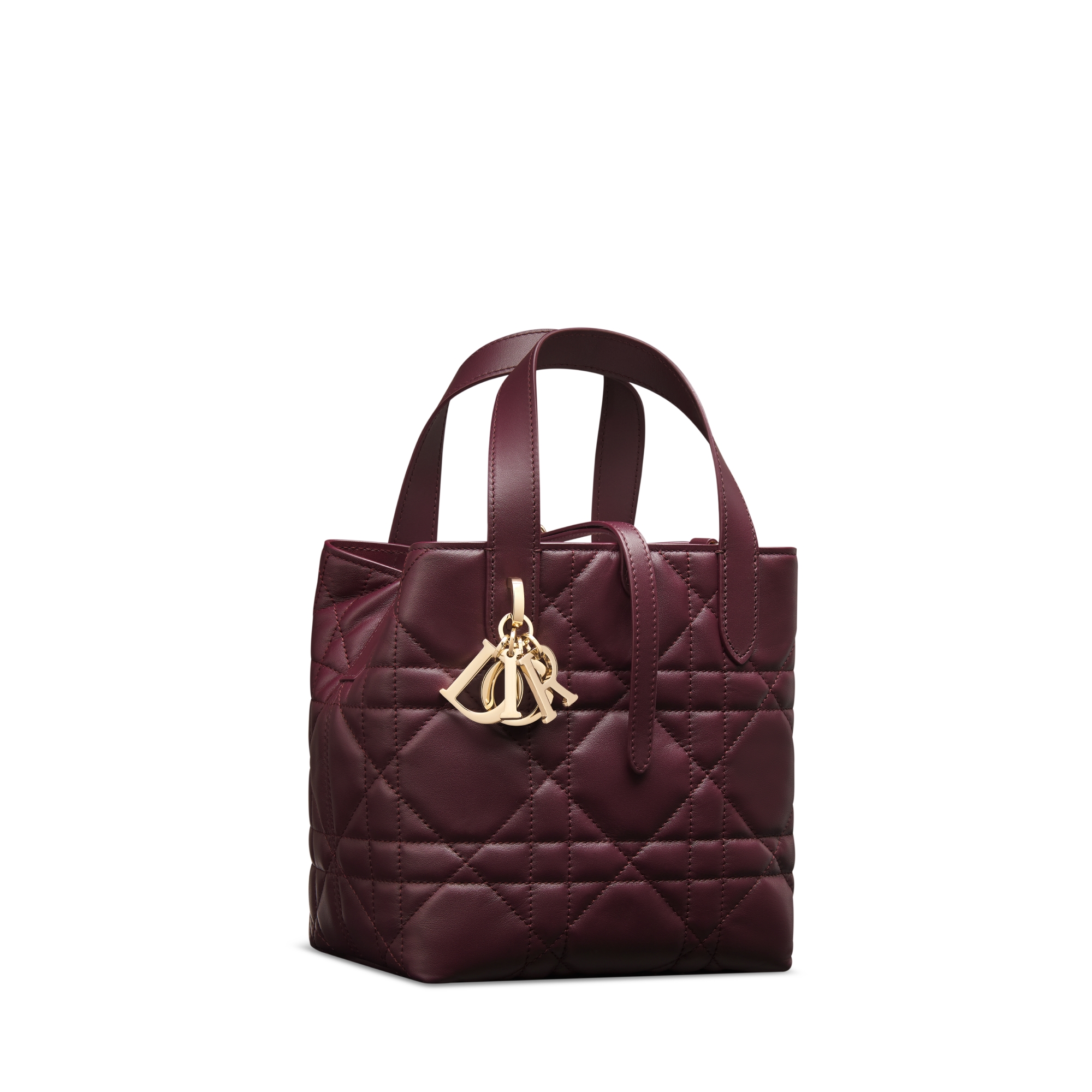 Small Dior Toujours Vertical Tote Bag Plum Macrocannage Calfskin E03