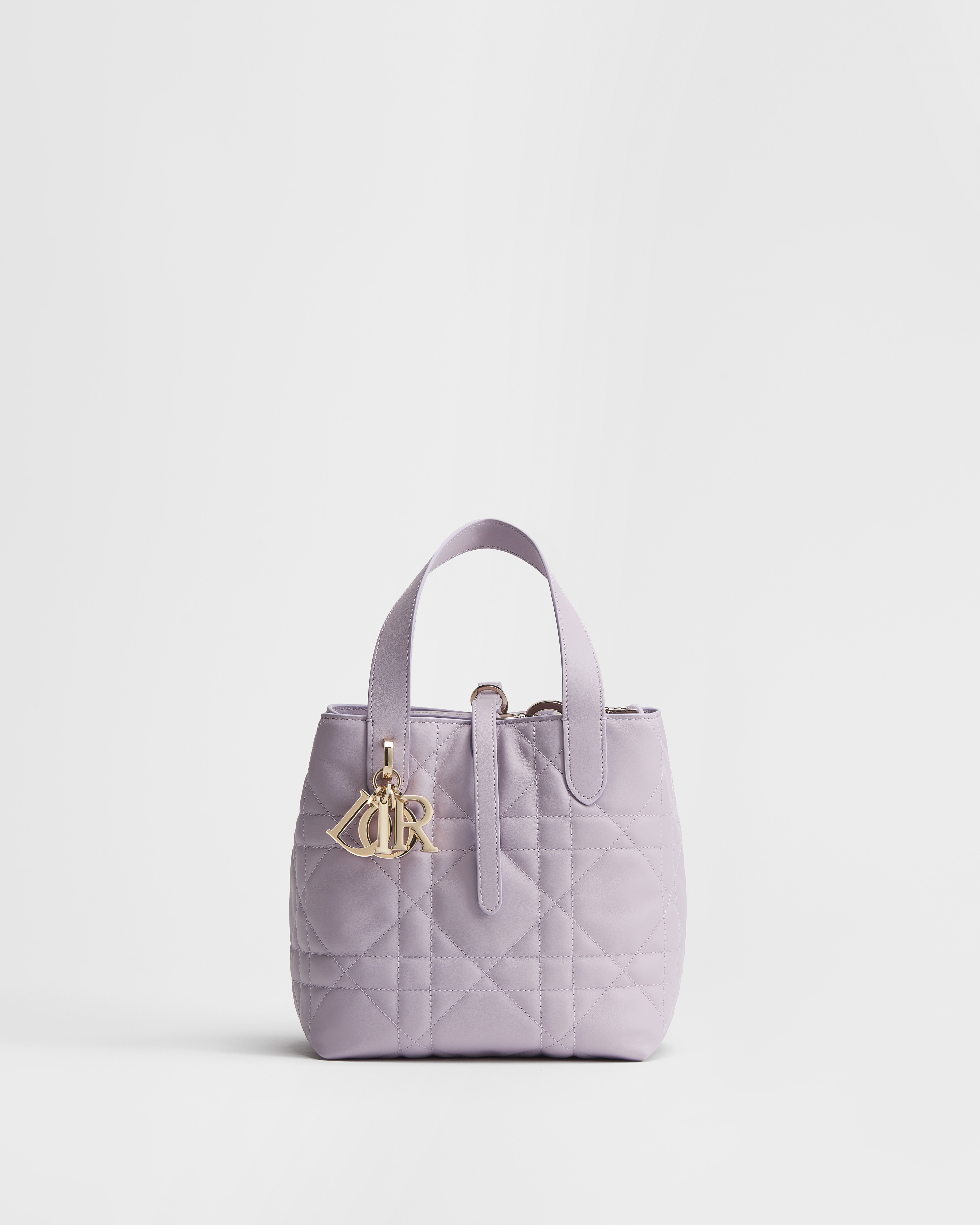 Bolsa tote vertical Dior Toujours pequena Couro de vitelo Macrocannage Lilas E01