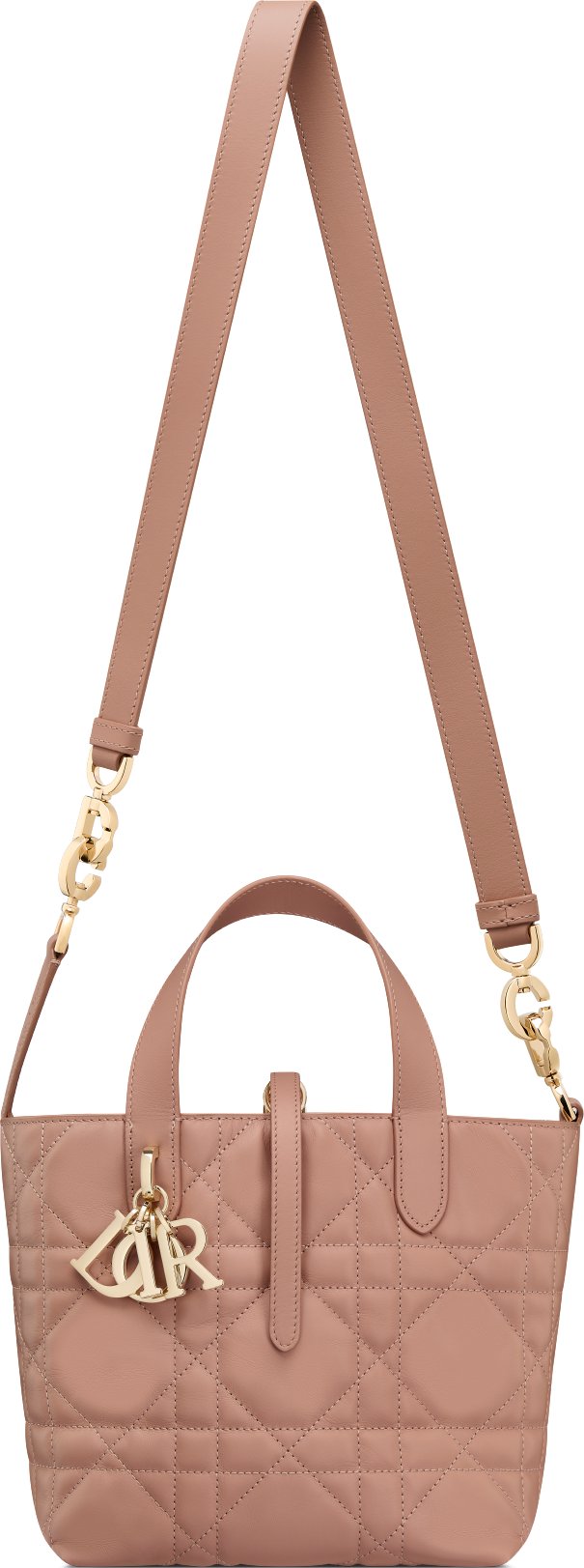 Small Dior Toujours Vertical Tote Bag Unfolded view