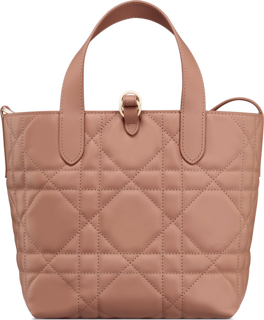 Small Dior Toujours Vertical Tote Bag Back view