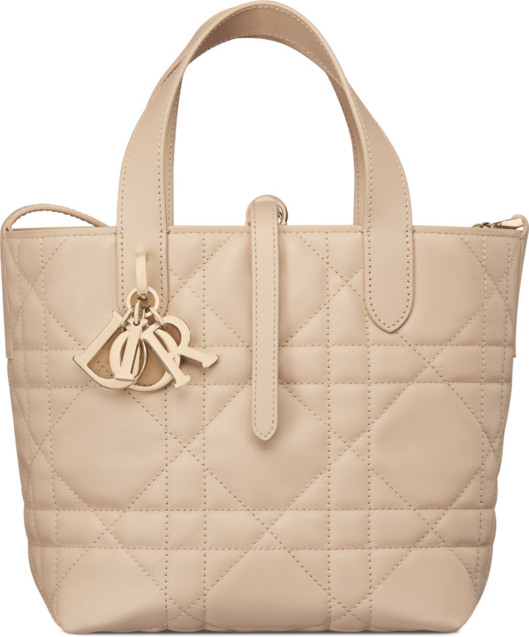 Small Dior Toujours Vertical Tote Bag Front view