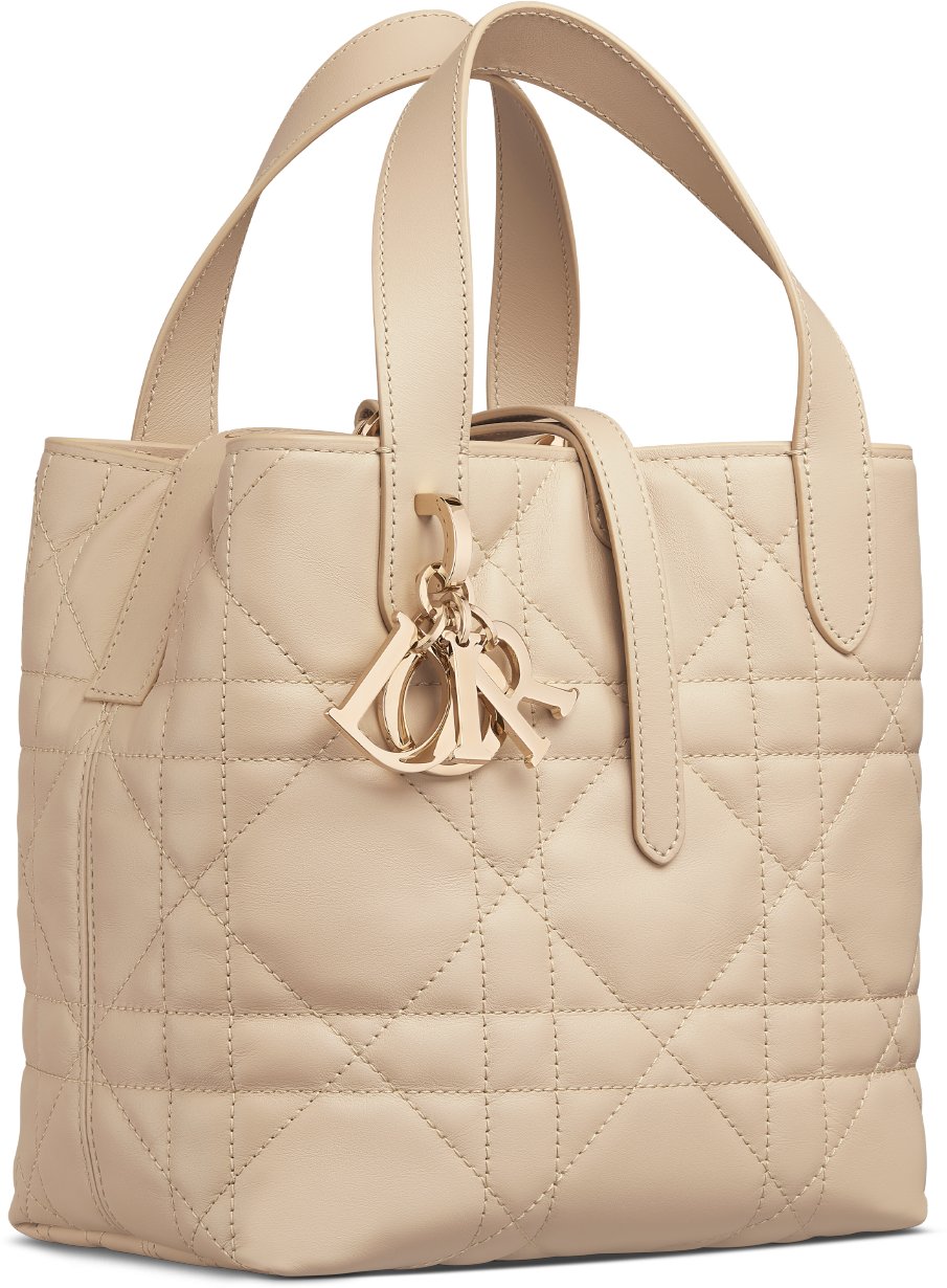 Small Dior Toujours Vertical Tote Bag Three quarter closed view