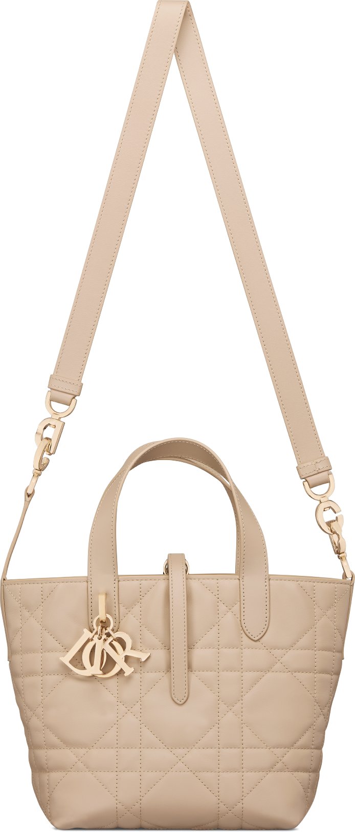Small Dior Toujours Vertical Tote Bag Unfolded view