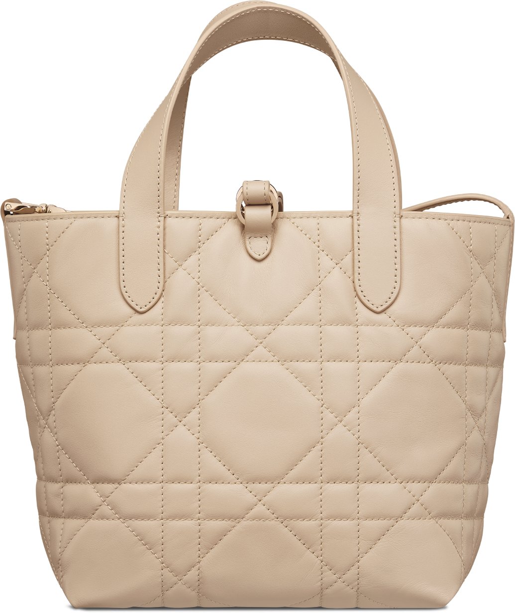 Small Dior Toujours Vertical Tote Bag Back view