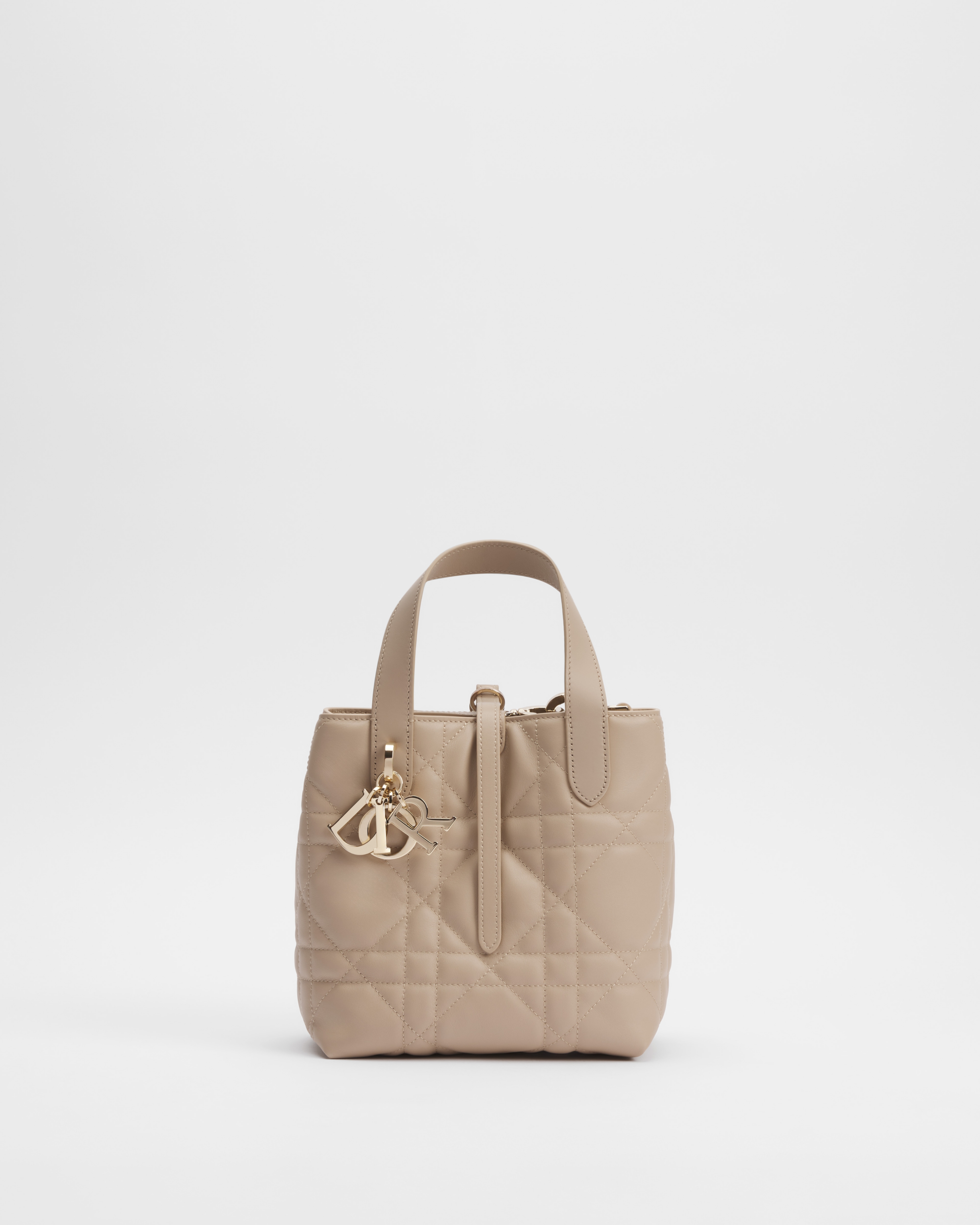 Dior Toujours Vertical Tote Bag
