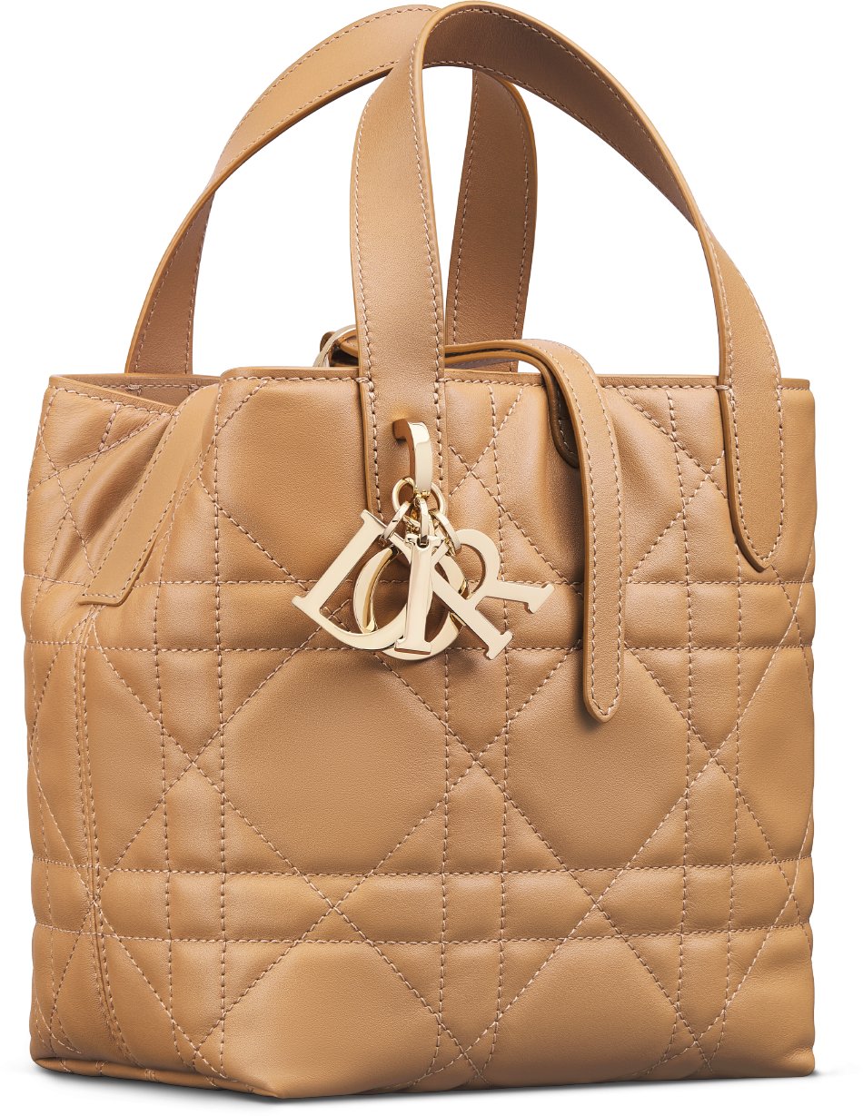 Small Dior Toujours Vertical Tote Bag Three quarter closed view
