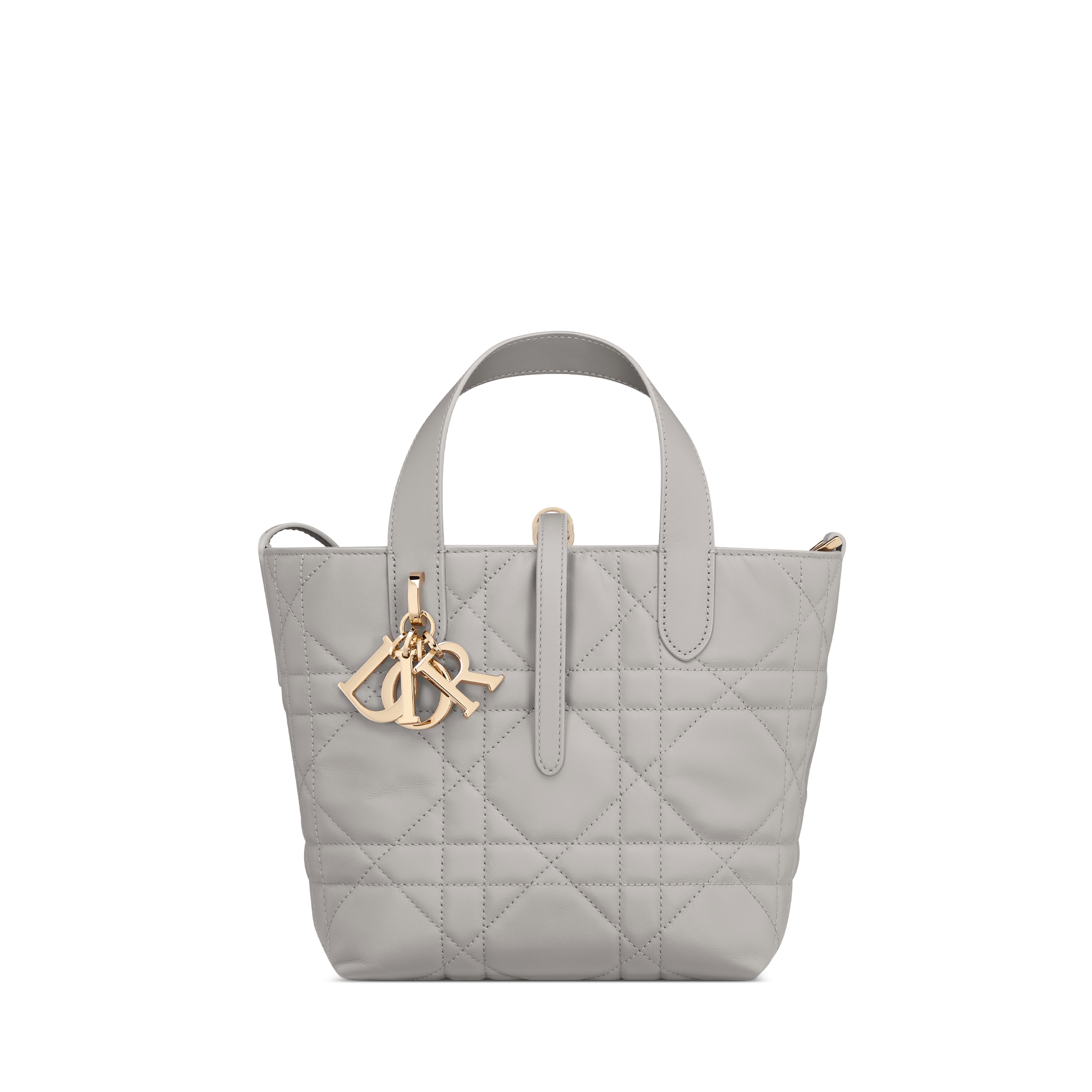 Dior Toujours 스몰 버티컬 토트백 그레이 매크로까나쥬 송아지 가죽 E01