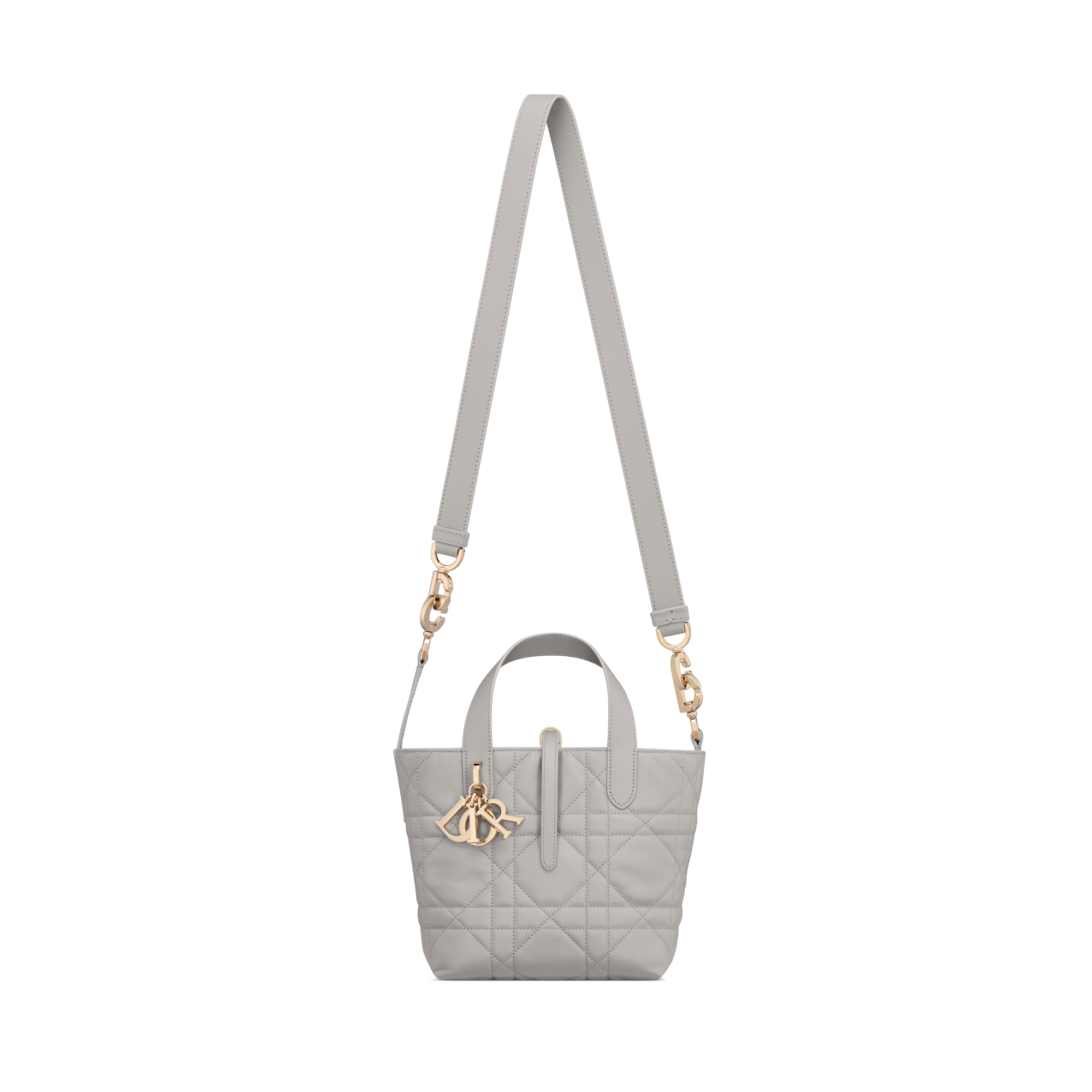 Dior Toujours 스몰 버티컬 토트백 그레이 매크로까나쥬 송아지 가죽 E07