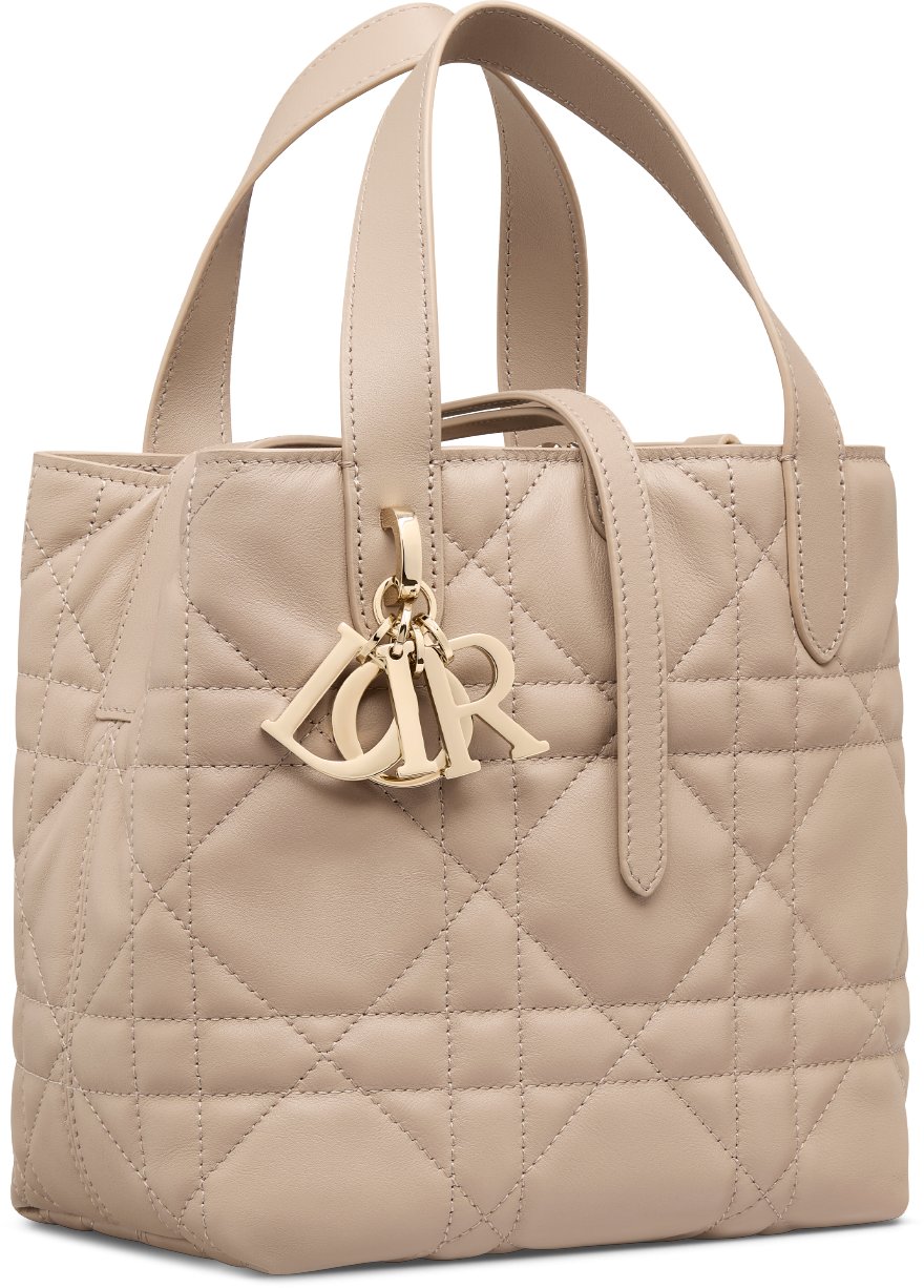 小碼 Dior Toujours 直向手挽袋 aria_threeQuarterClosedView