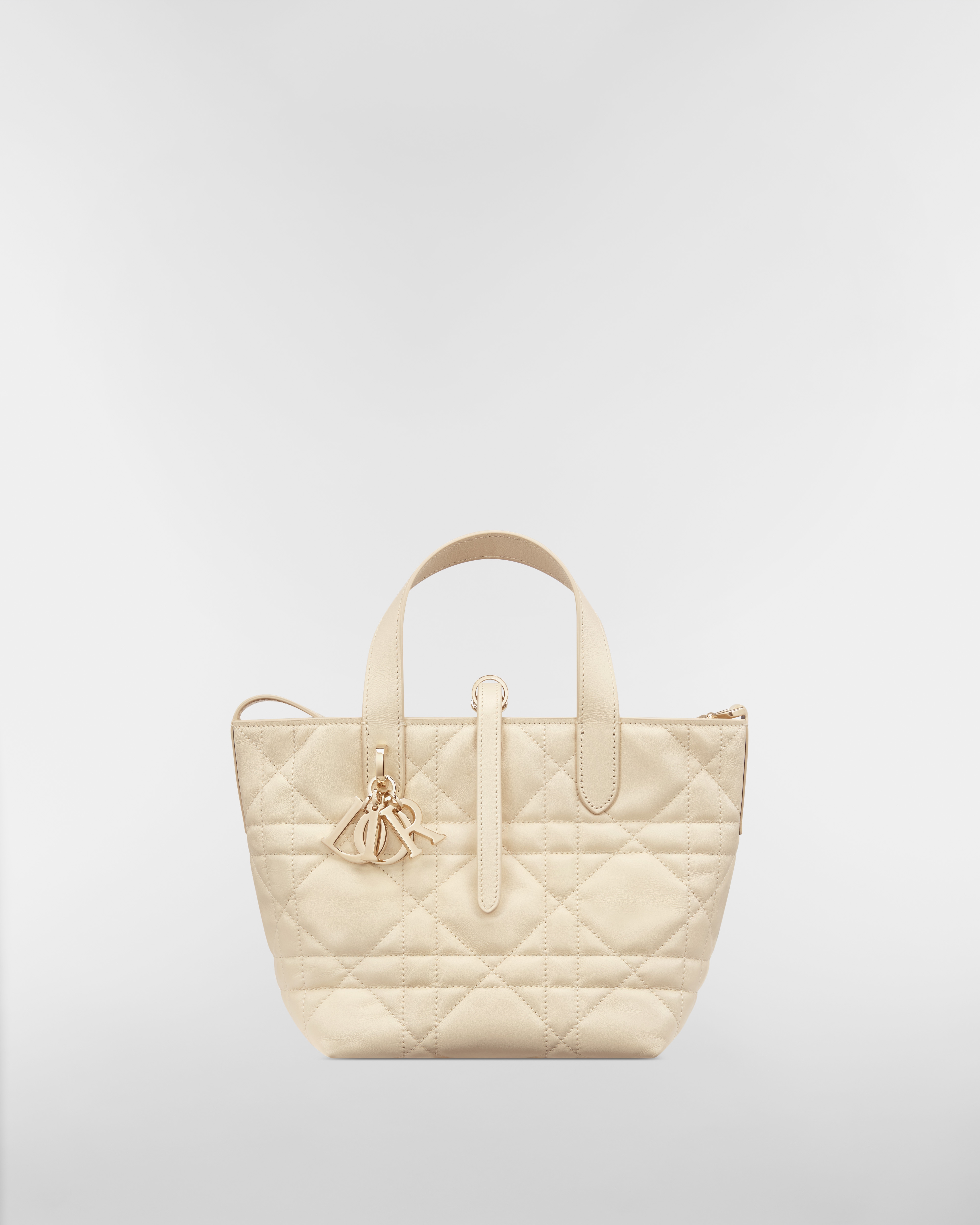 Small Dior Toujours Vertical Tote Bag Light Beige Macrocannage Calfskin E01