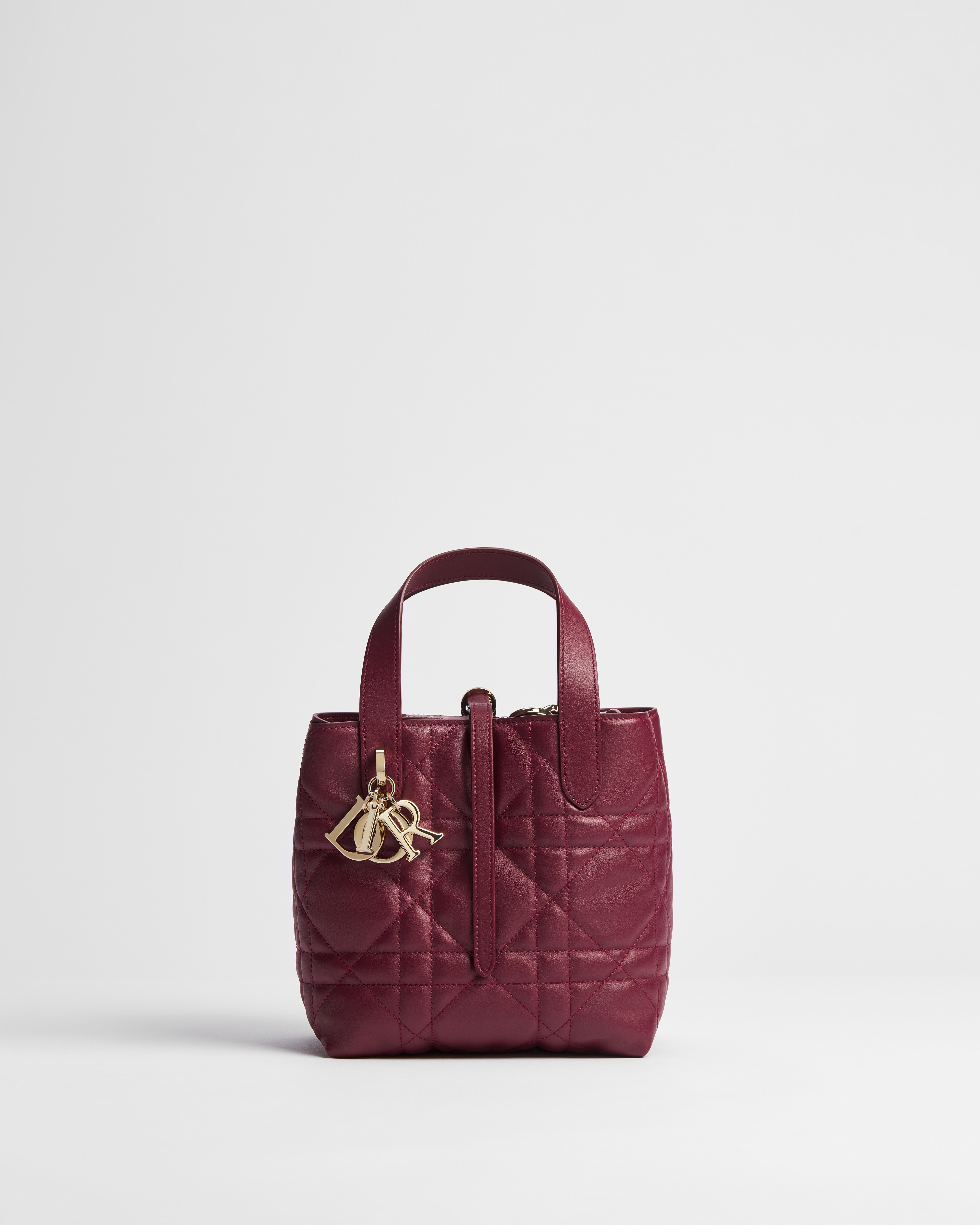 Dior Or Small Dior Toujours Vertical Tote Bag Rouge Hermitage Macrocannage Calfskin E01