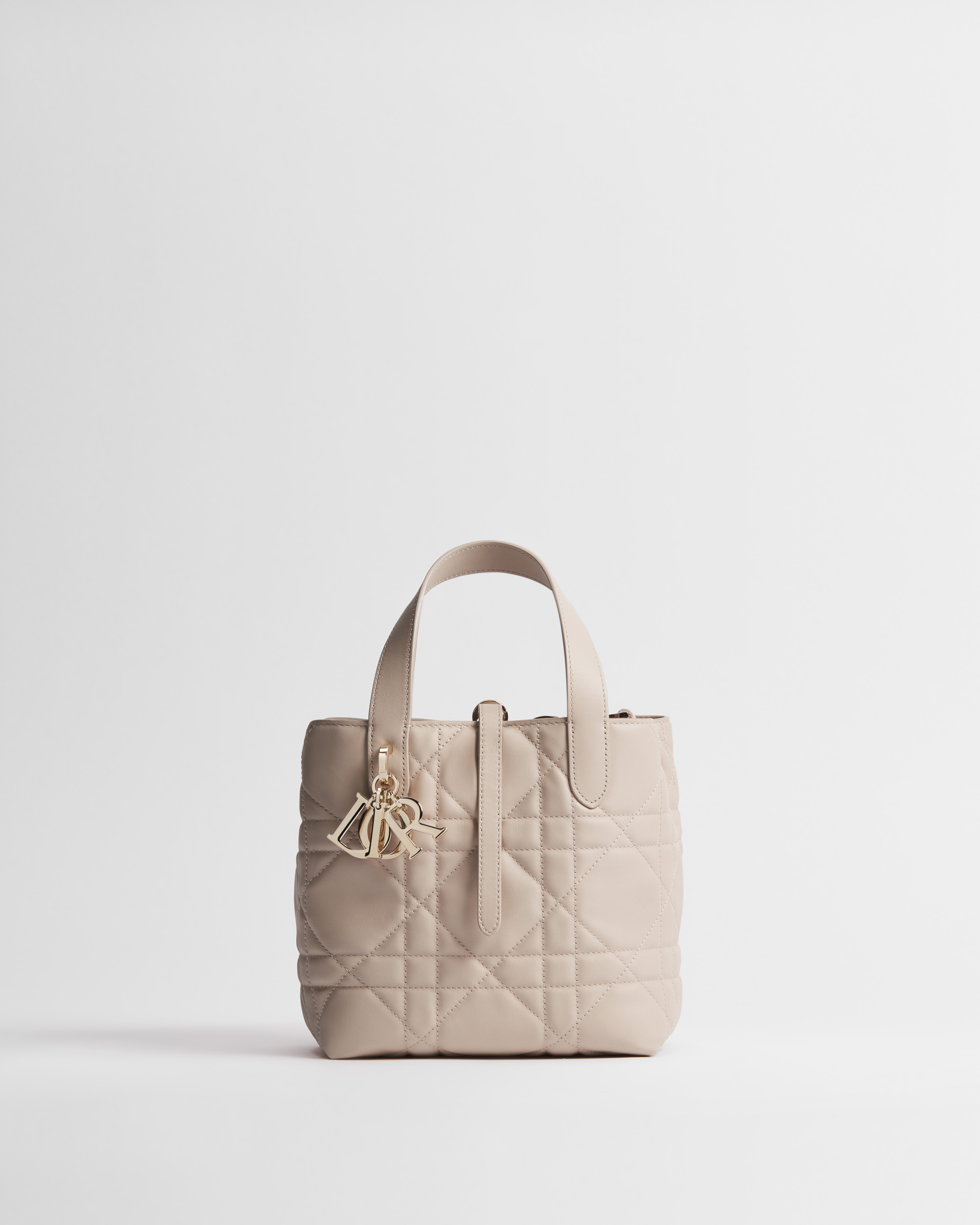 Small Dior Toujours Vertical Tote Bag Rose Lingerie Macrocannage Calfskin E01