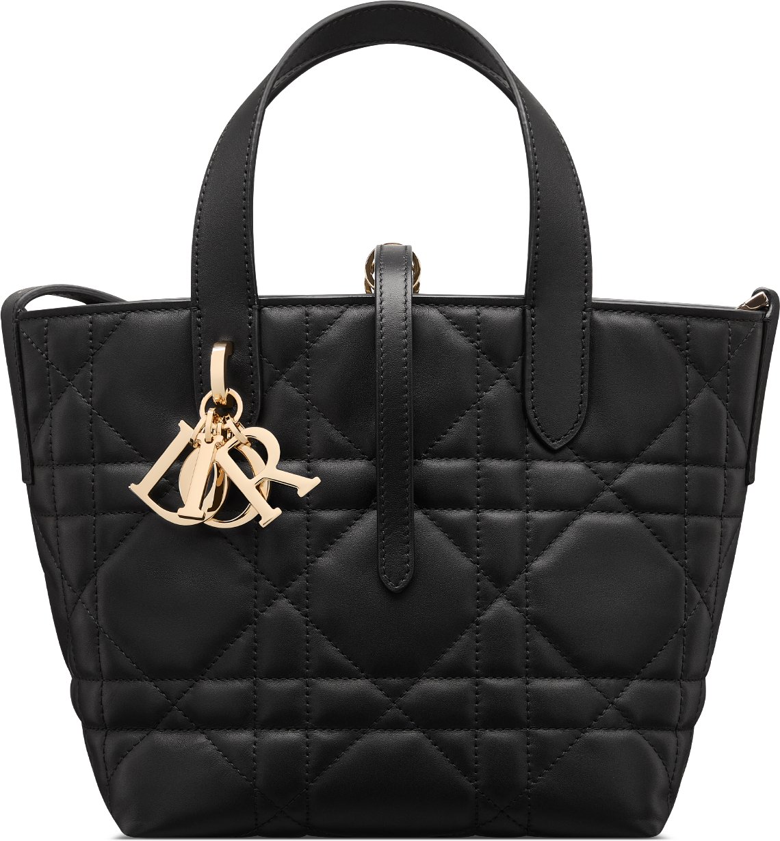 Small Dior Toujours Vertical Tote Bag Front view
