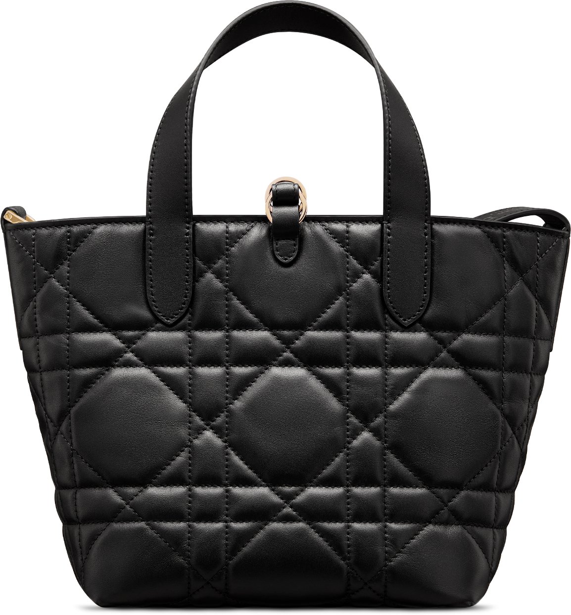 Small Dior Toujours Vertical Tote Bag Back view