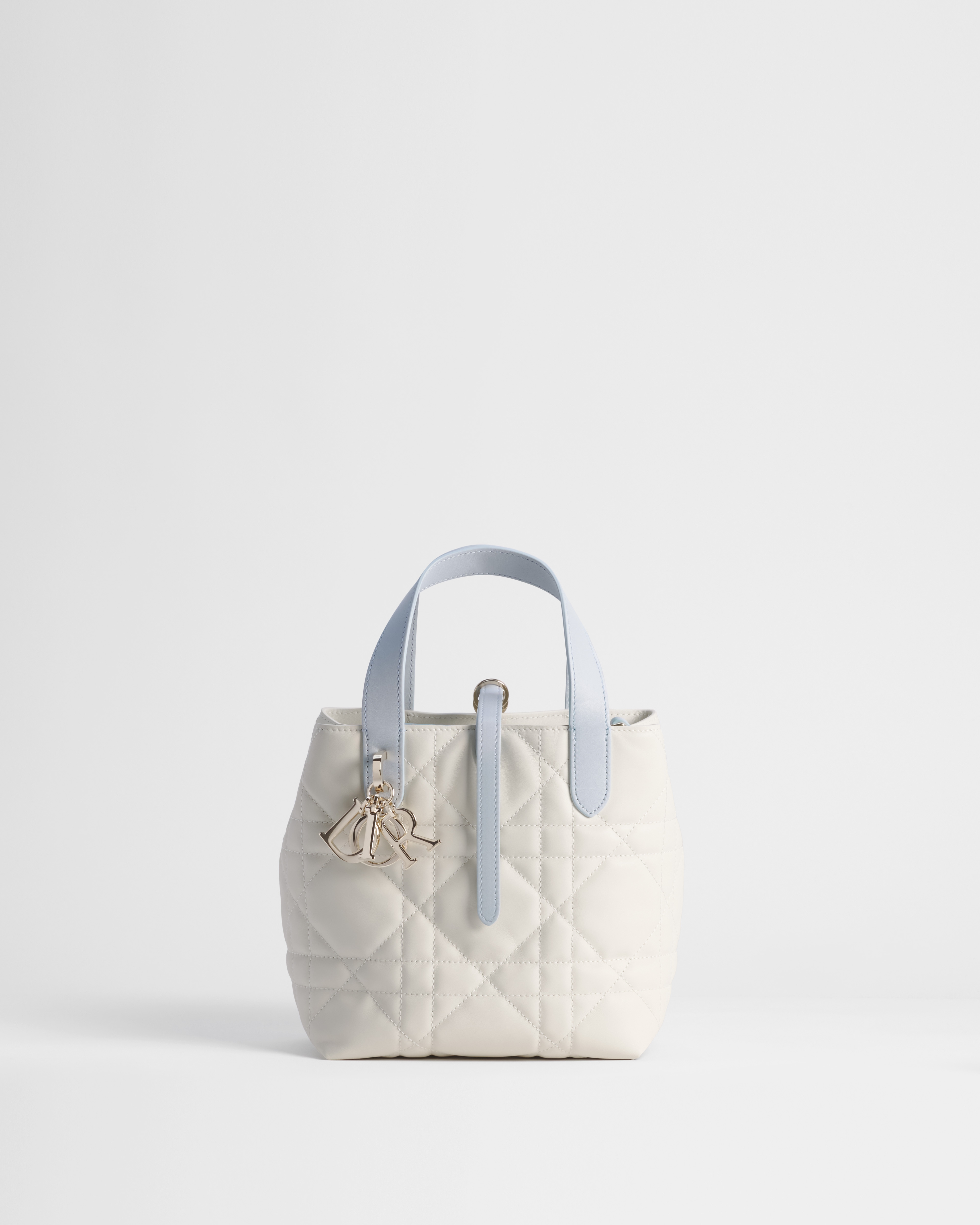 Dior Qixi Dior Toujours バーティカル トートバッグ スモール マクロカナージュ カーフスキン E01