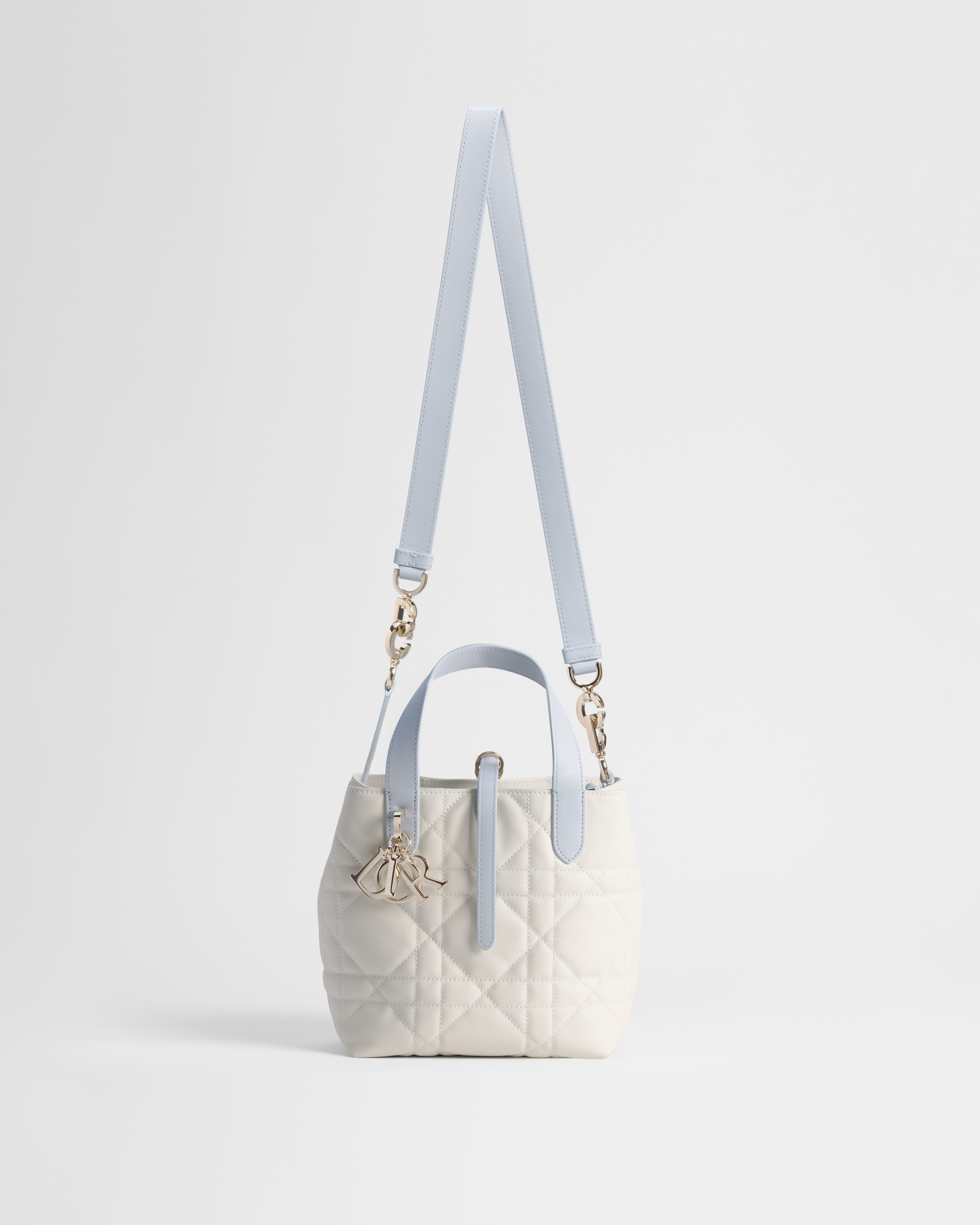 Dior Qixi Small Dior Toujours Vertical Tote Bag