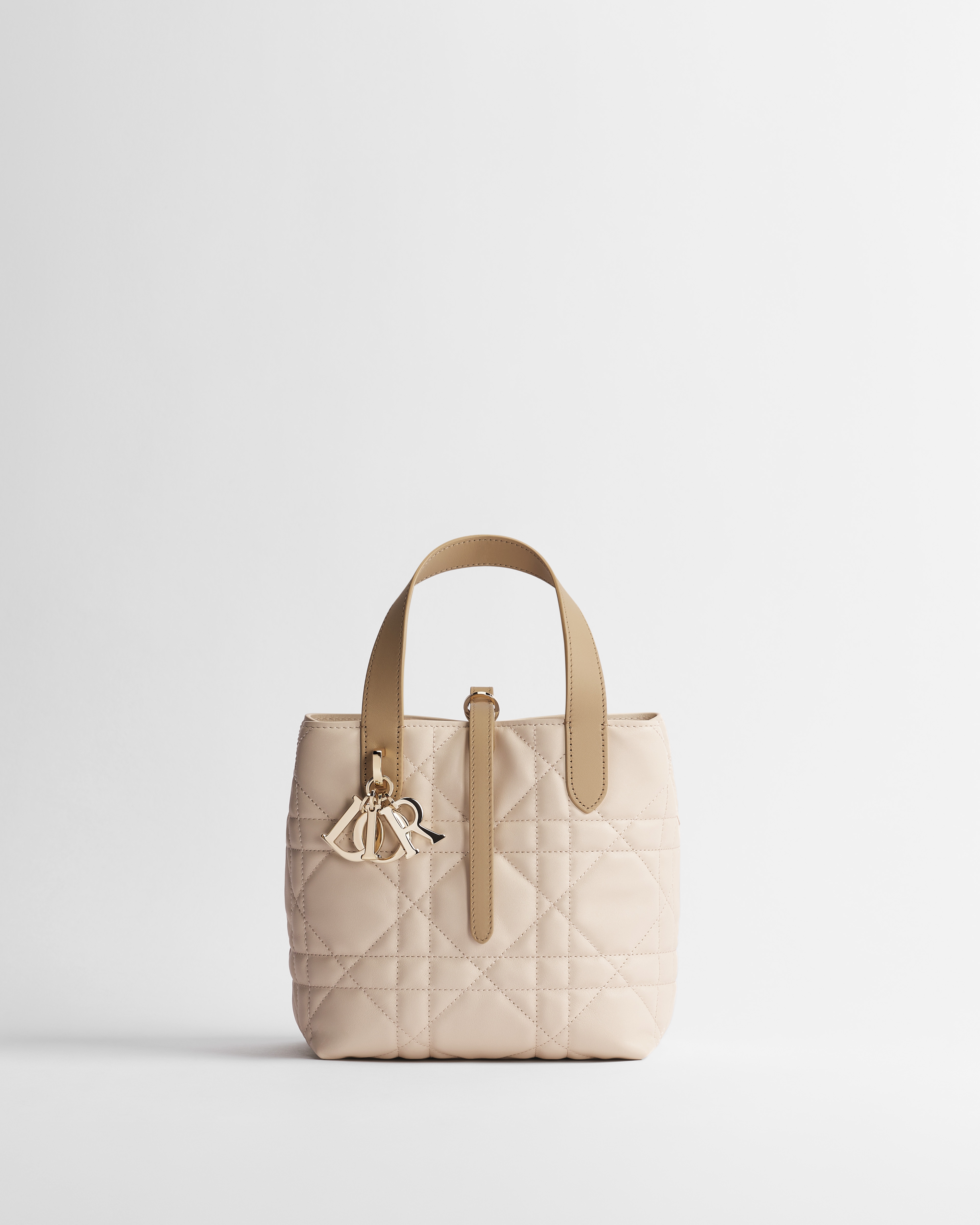 กระเป๋าโท้ท Small Dior Toujours ทรงแนวตั้ง หนังลูกวัวลาย Macrocannage แบบทูโทนสีเครย์และสีโกลฟ E01
