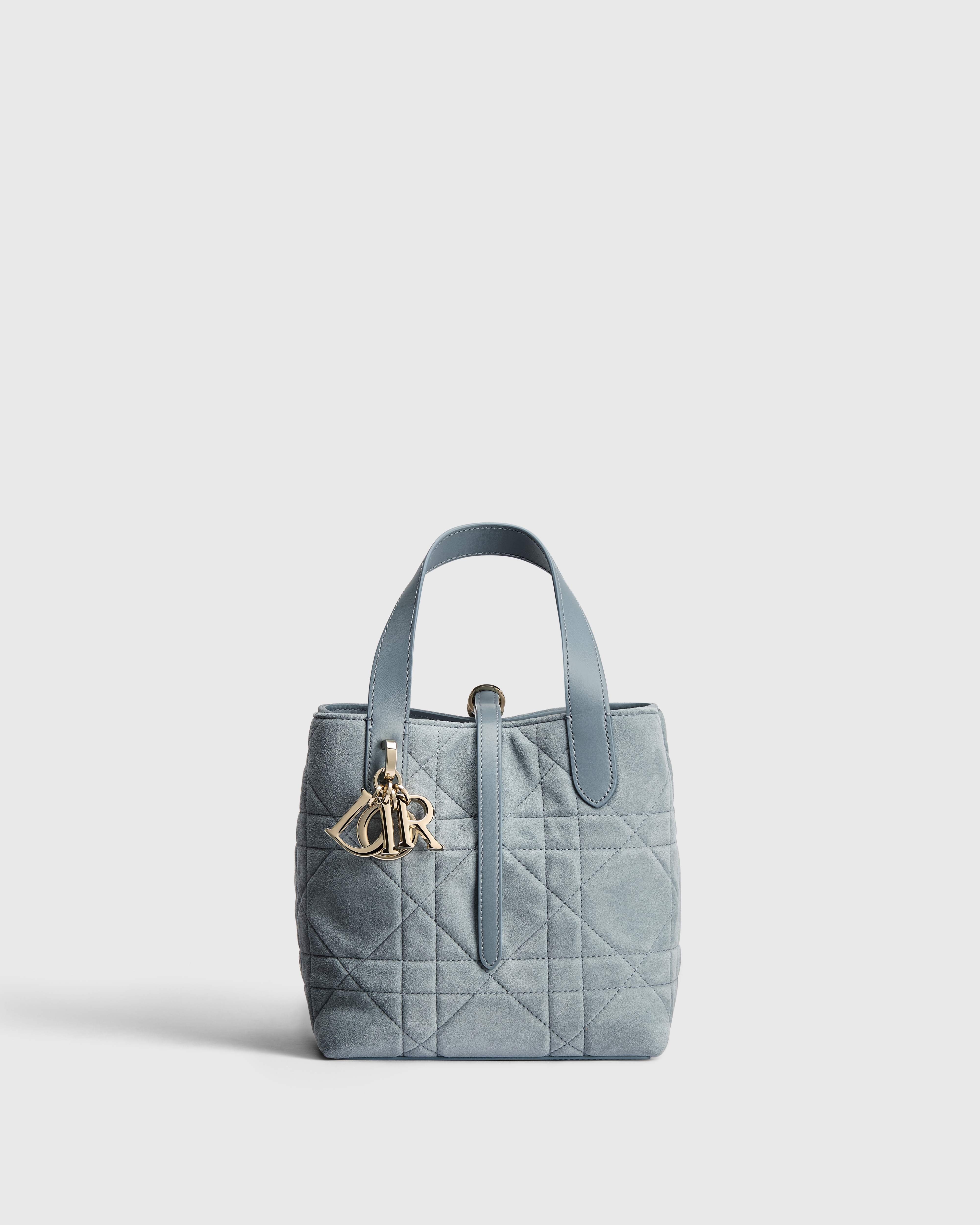 Small Dior Toujours Vertical Tote Bag Bleu Ciel Macrocannage Suede Goatskin E01