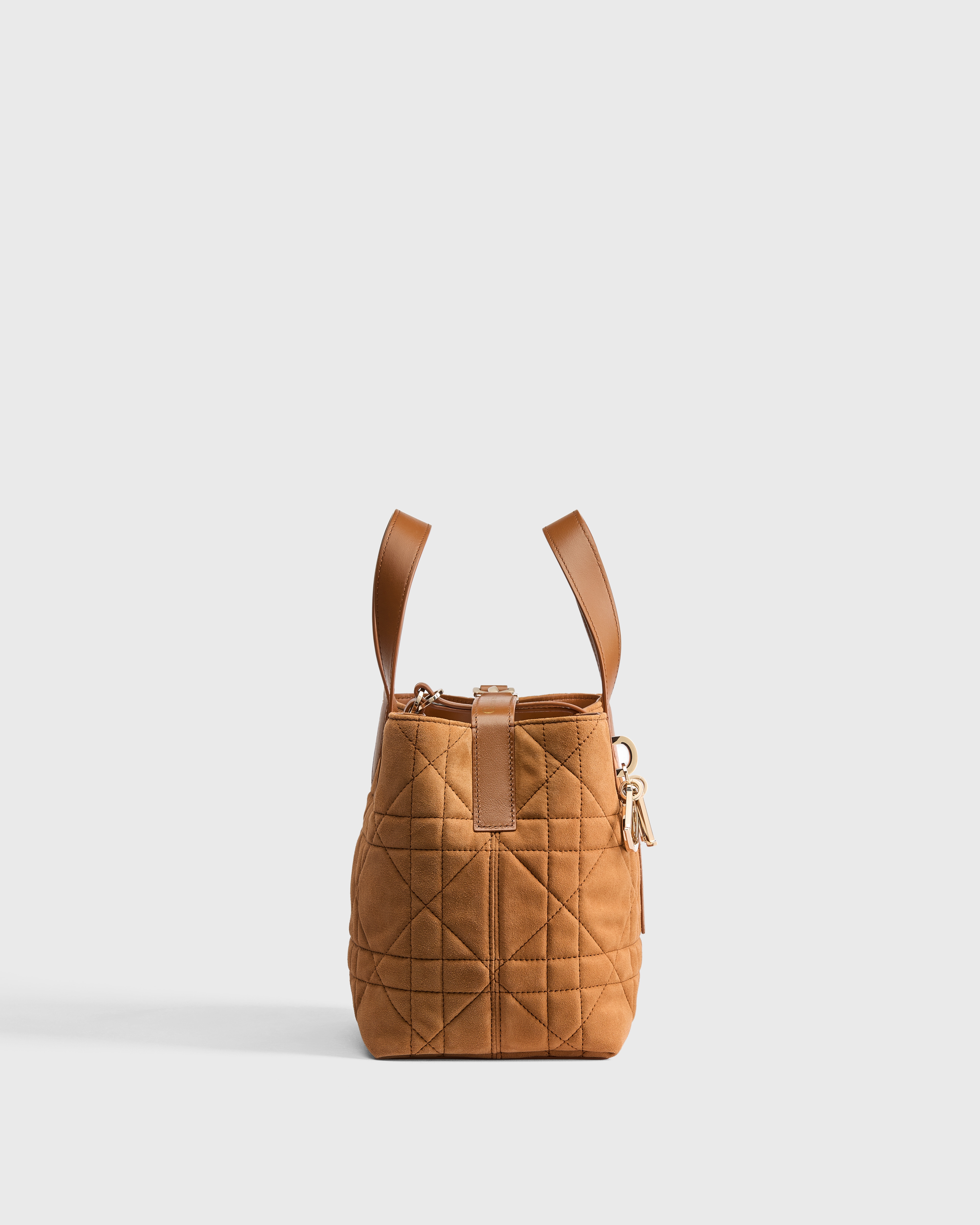 Small Dior Toujours Vertical Tote Bag Golden Saddle Macrocannage Suede Goatskin E02