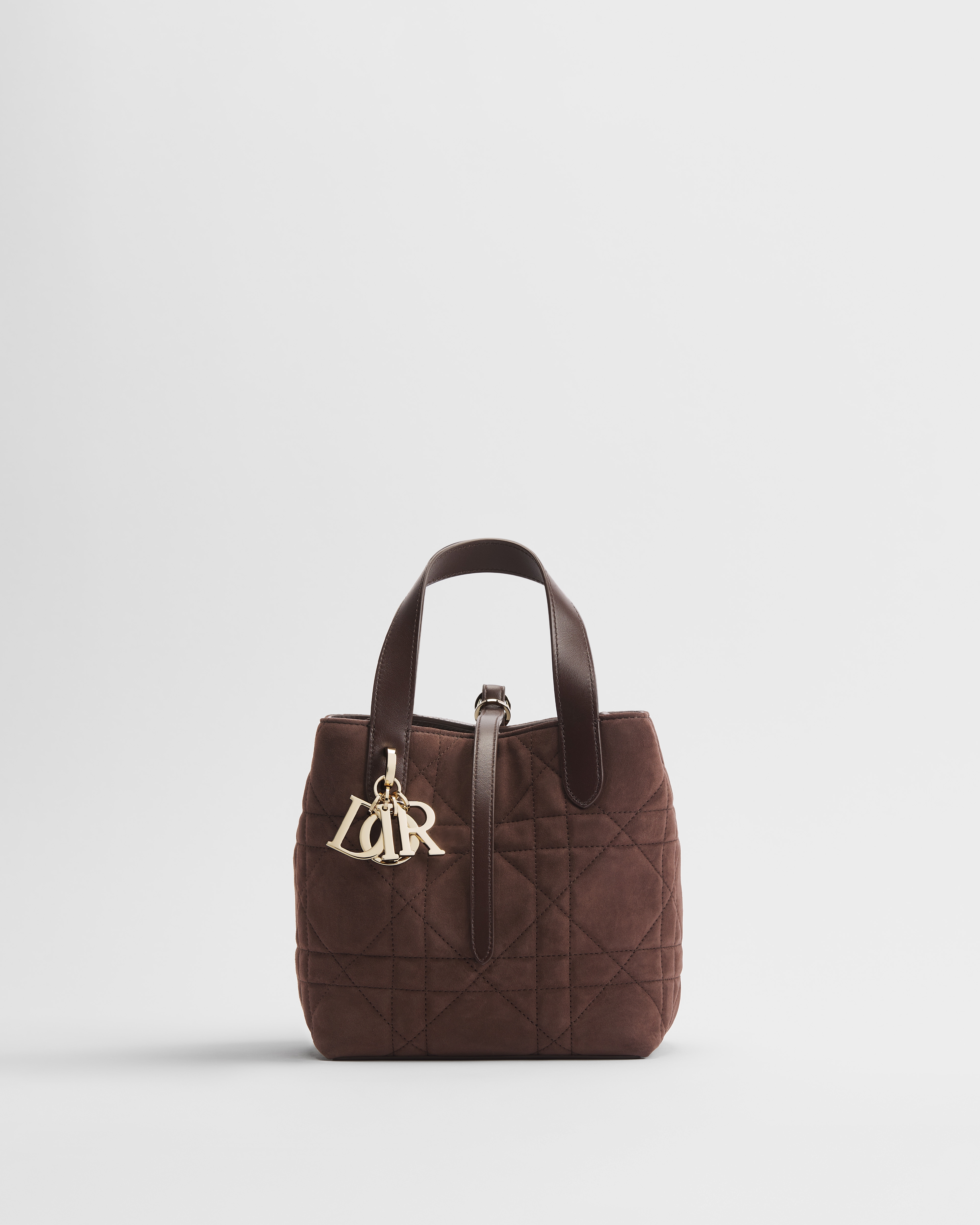 Small Dior Toujours Vertical Tote Bag