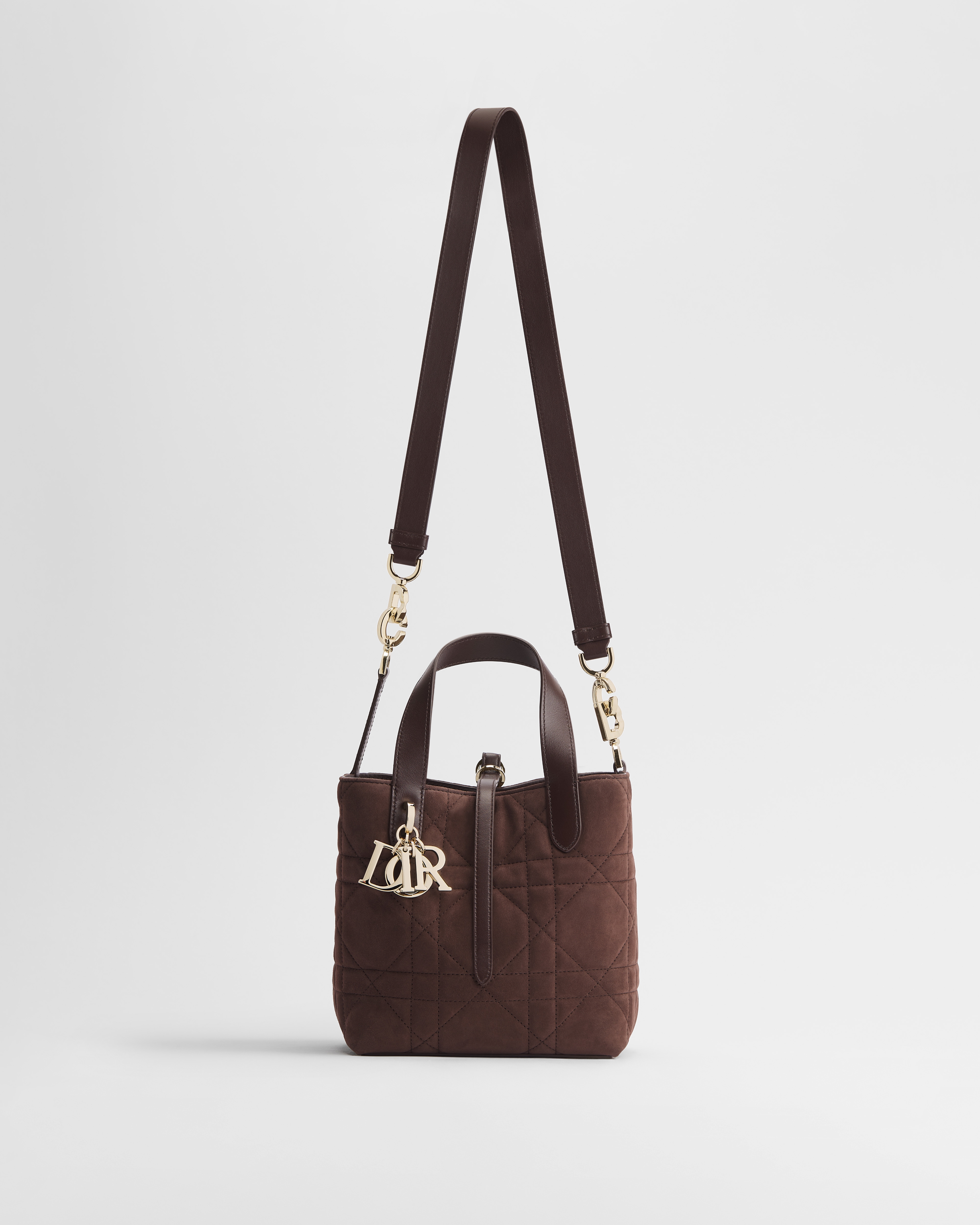 Small Dior Toujours Vertical Tote Bag