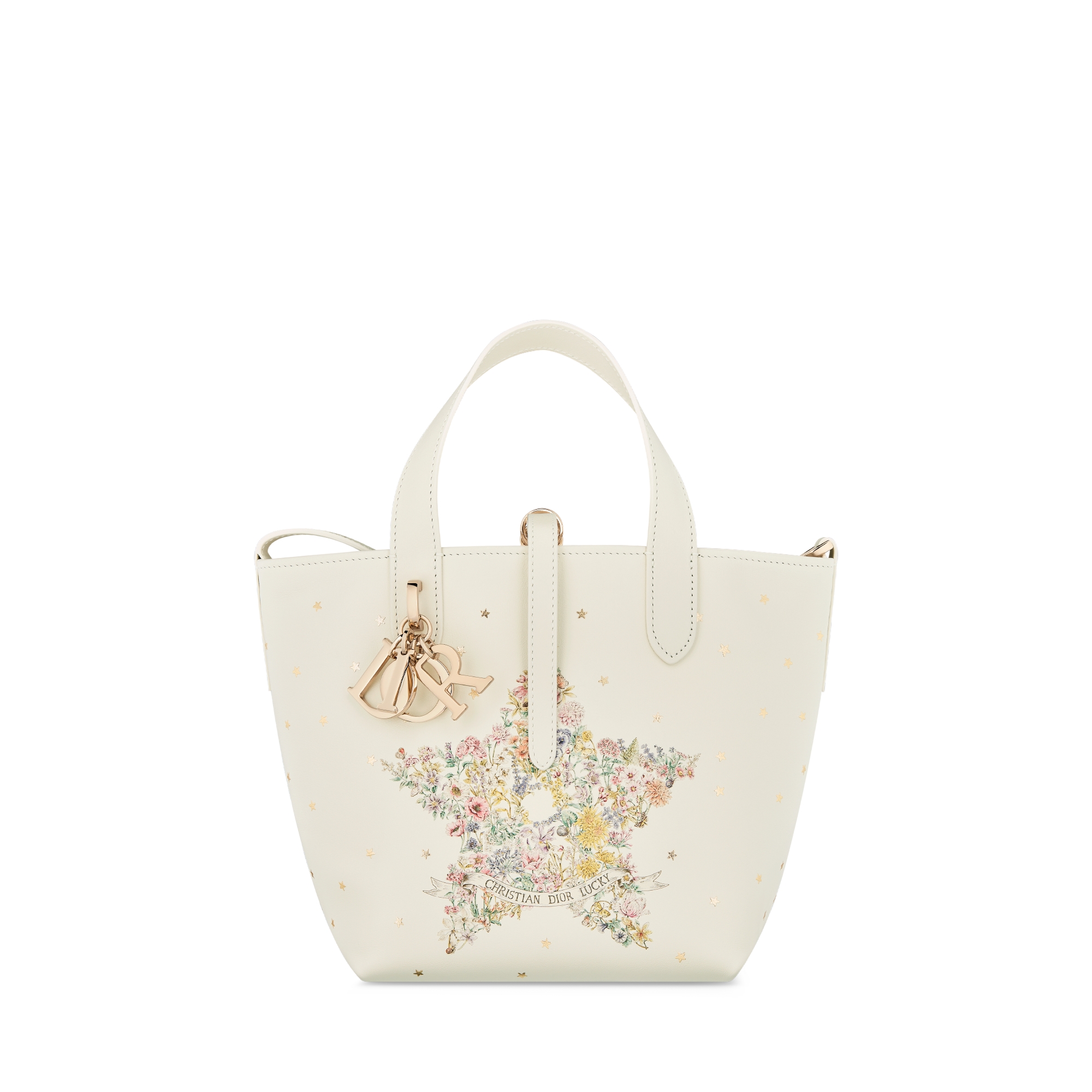 Dior Lucky Small Dior Toujours Vertical Tote Bag