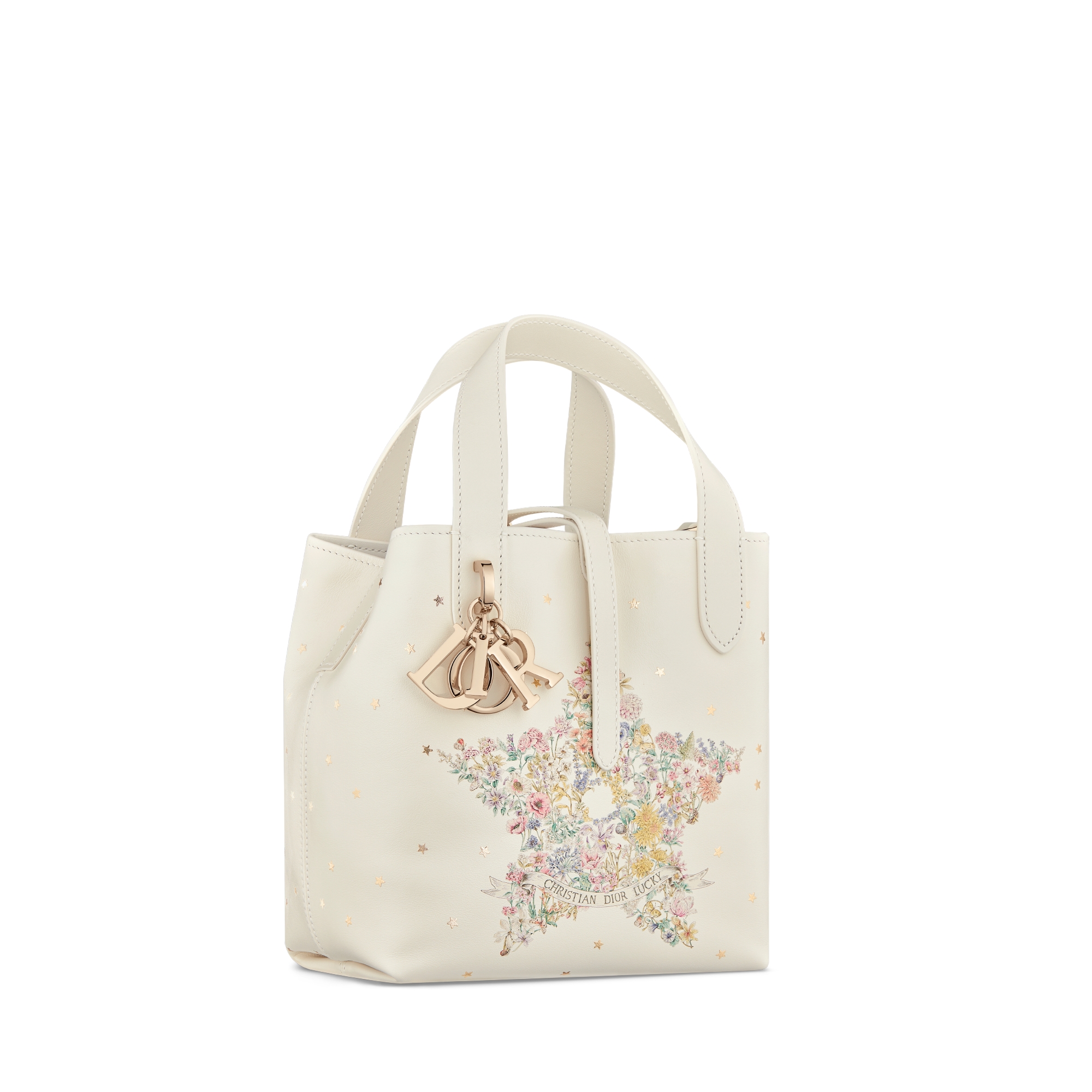 Dior Lucky Small Dior Toujours Vertical Tote Bag