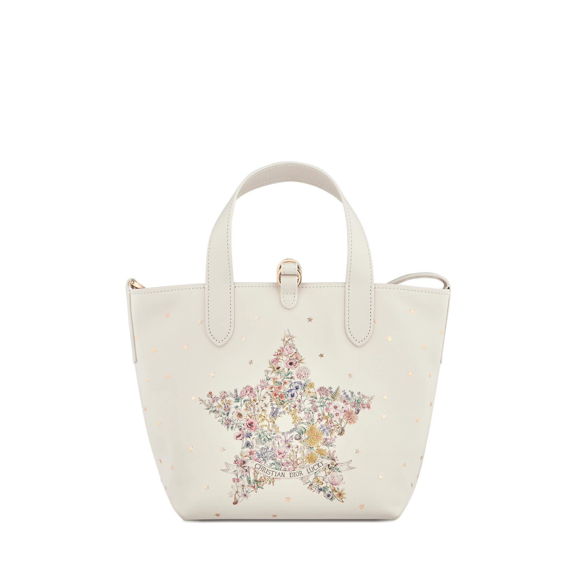 Dior Lucky Small Dior Toujours Vertical Tote Bag