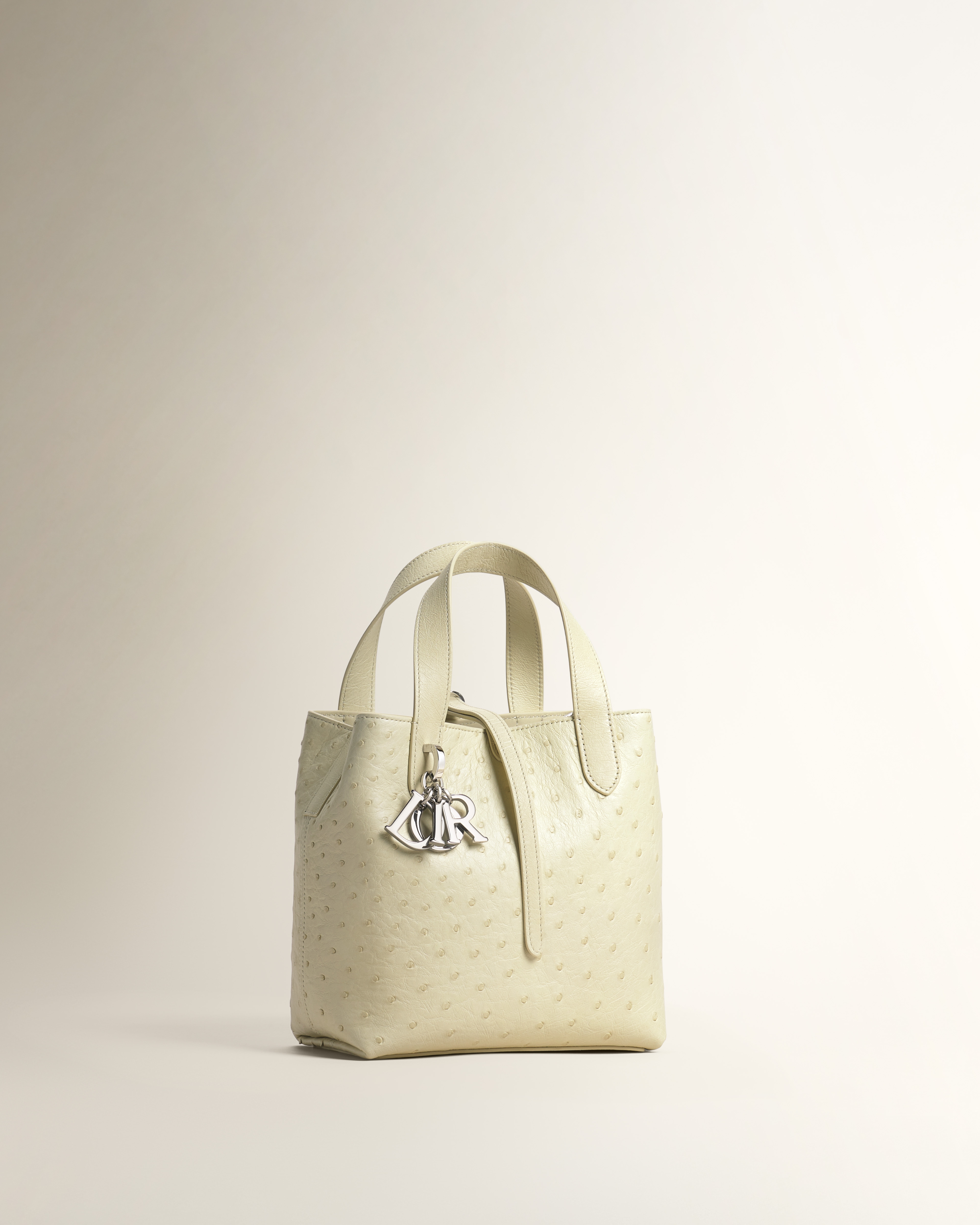 Small Dior Toujours Bag