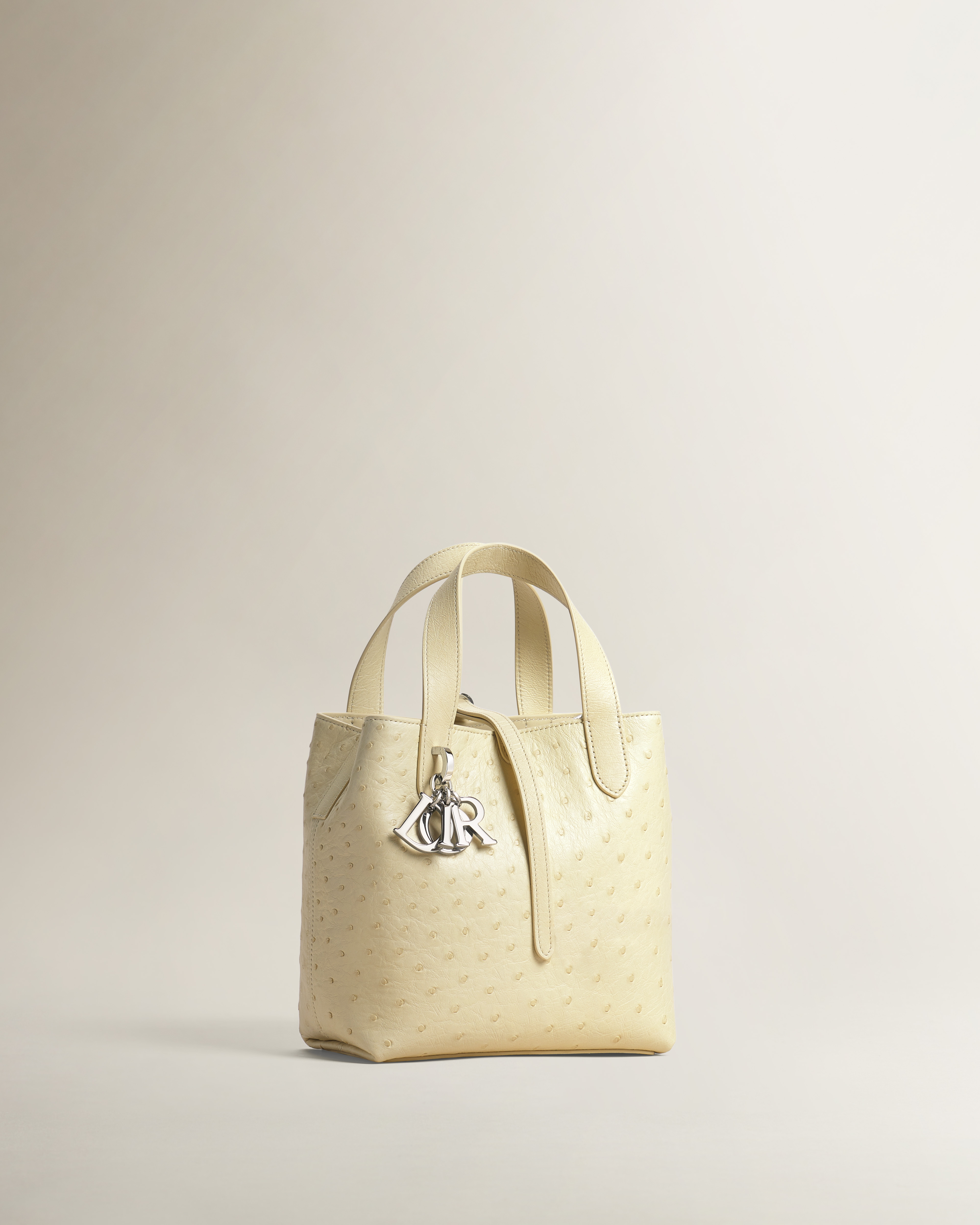 Small Dior Toujours Bag