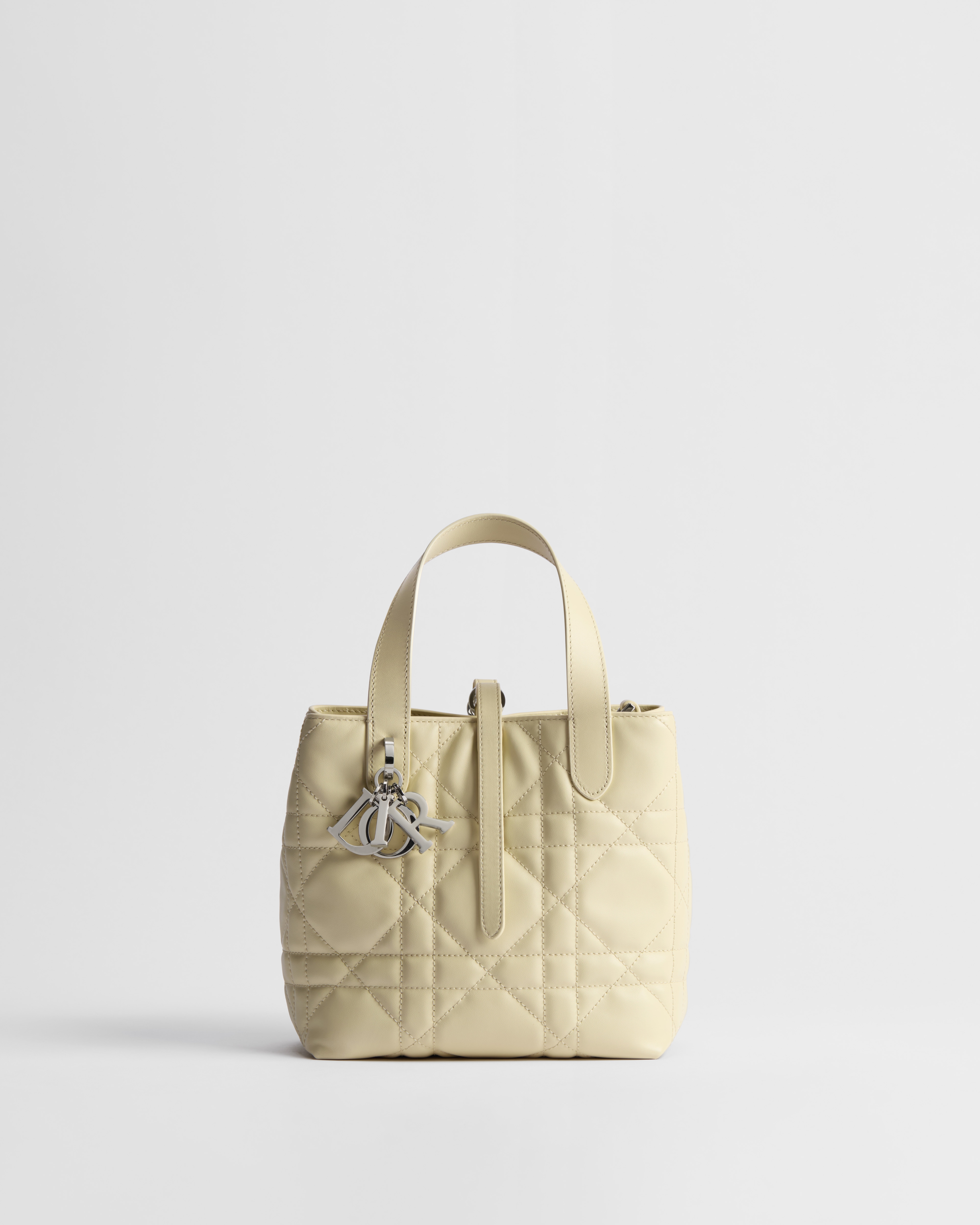Small Dior Toujours Vertical Tote Bag