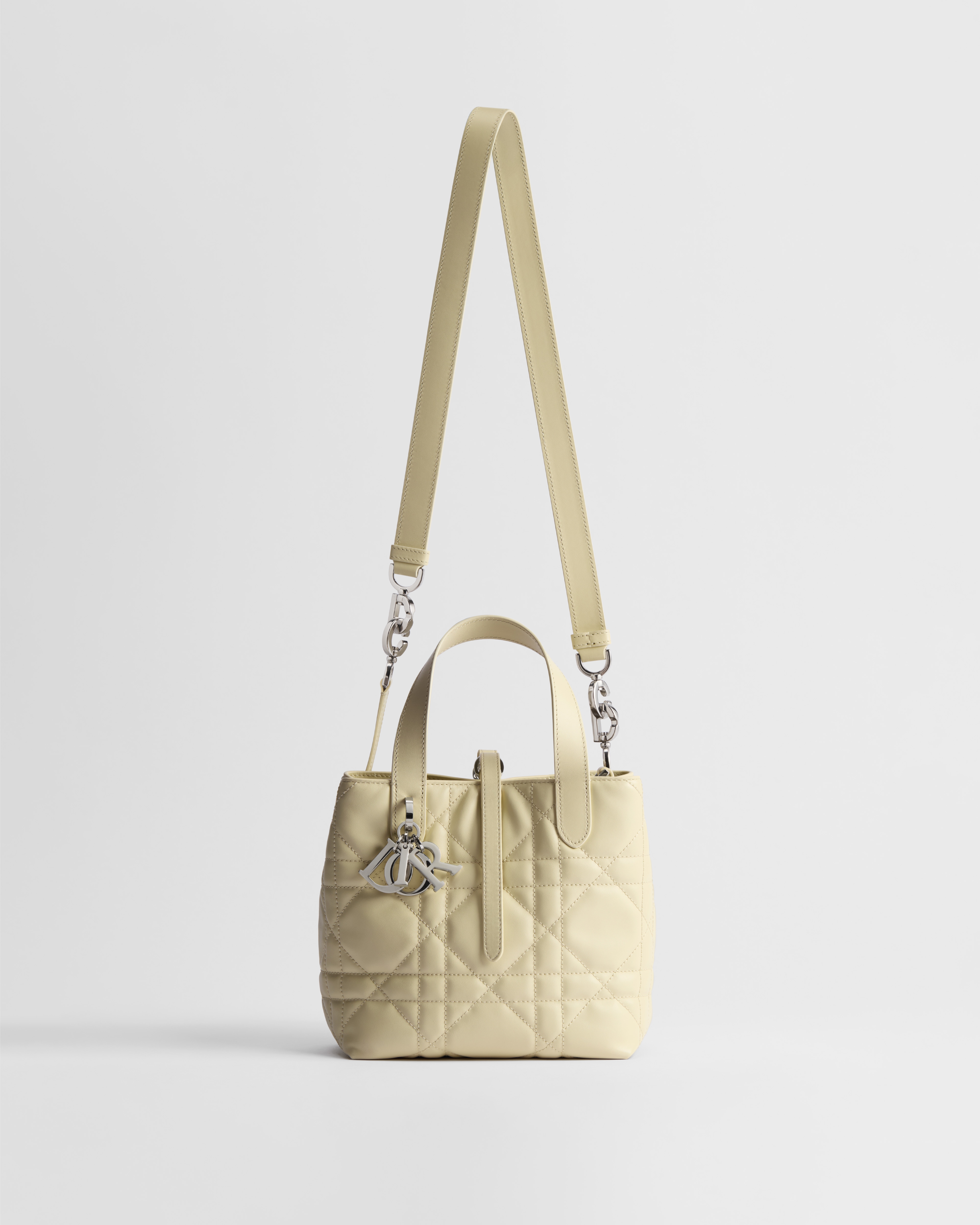 Small Dior Toujours Vertical Tote Bag