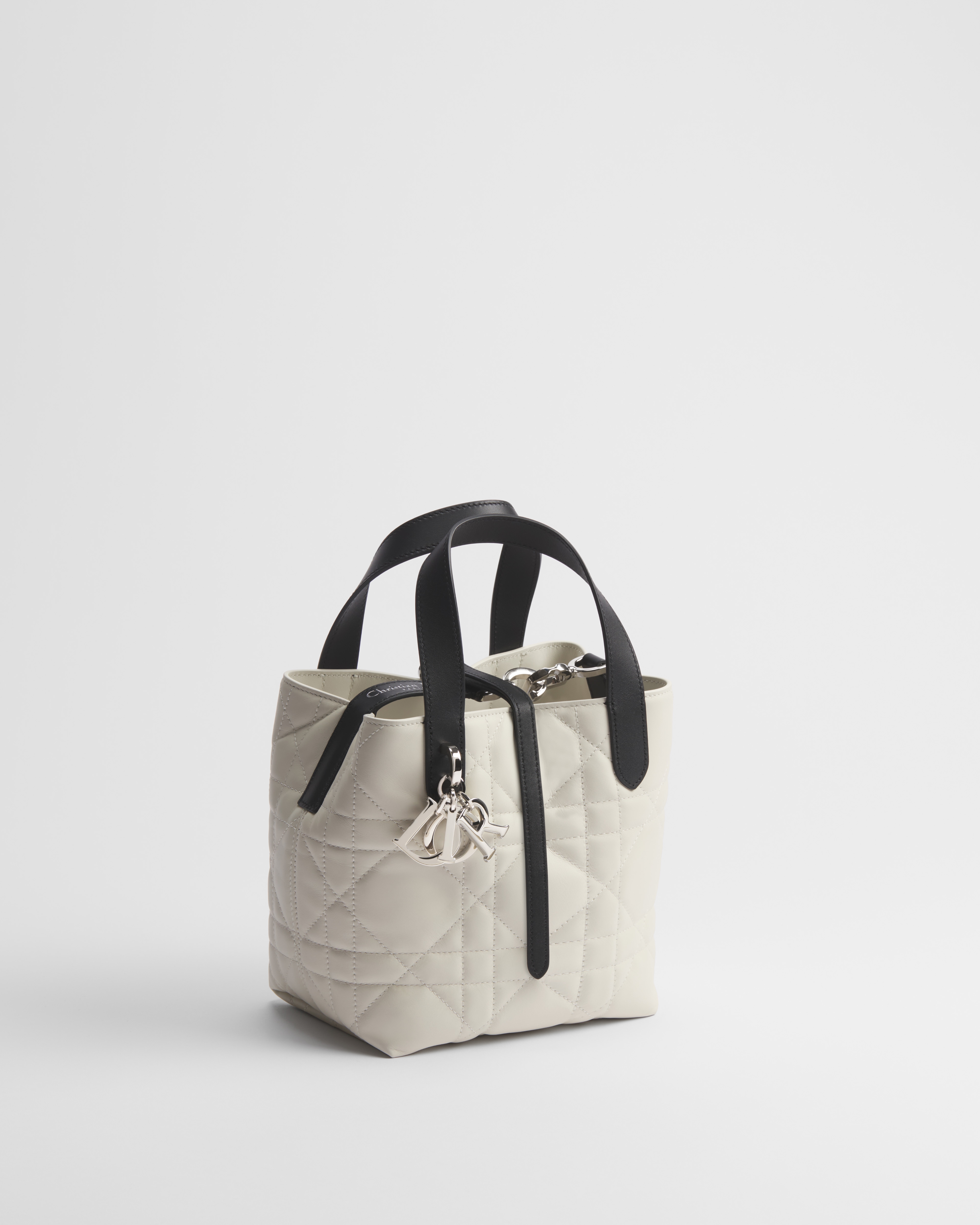 Small Dior Toujours Vertical Tote Bag Latte and Black Macrocannage Calfskin E03