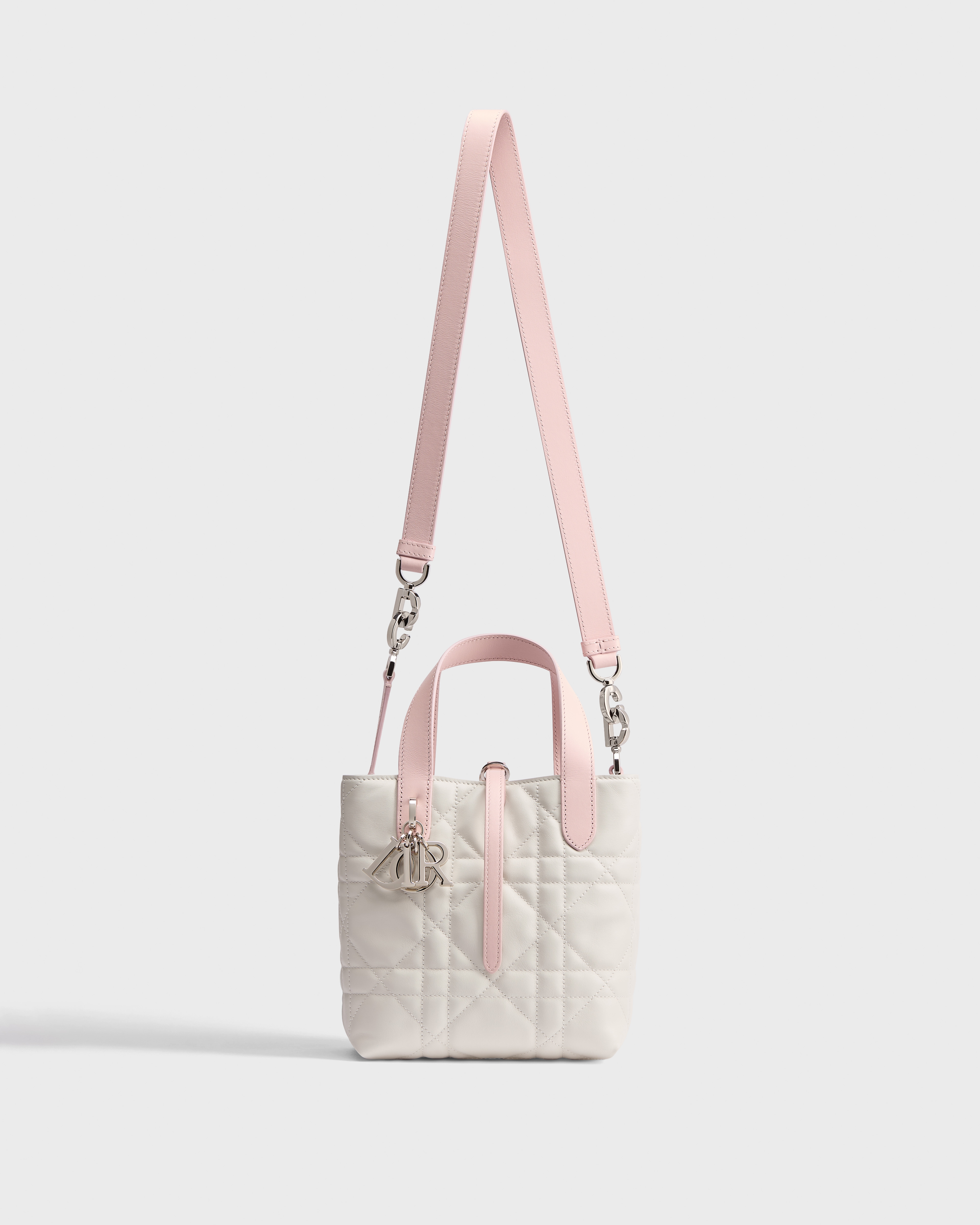 Dior Toujours バーティカル トートバッグ スモール マクロカナージュ カーフスキン E07