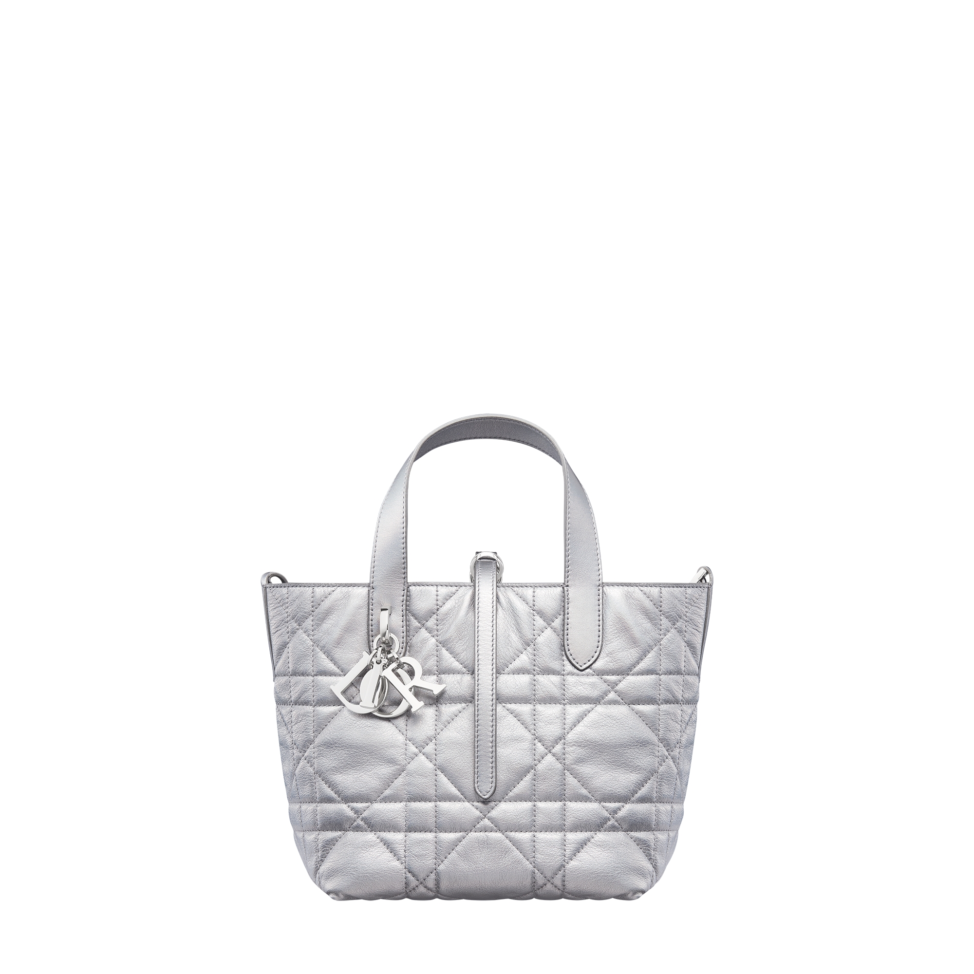 Small Dior Toujours Vertical Tote Bag Silver-Tone Iridescent Metallic Macrocannage Calfskin E01