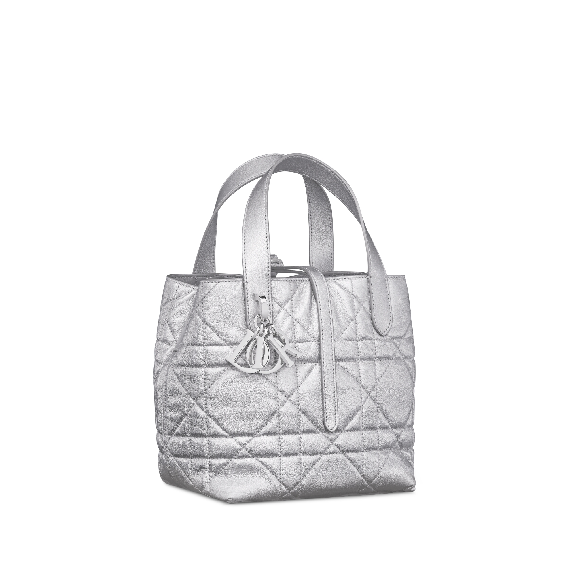 Small Dior Toujours Vertical Tote Bag Silver-Tone Iridescent Metallic Macrocannage Calfskin E03