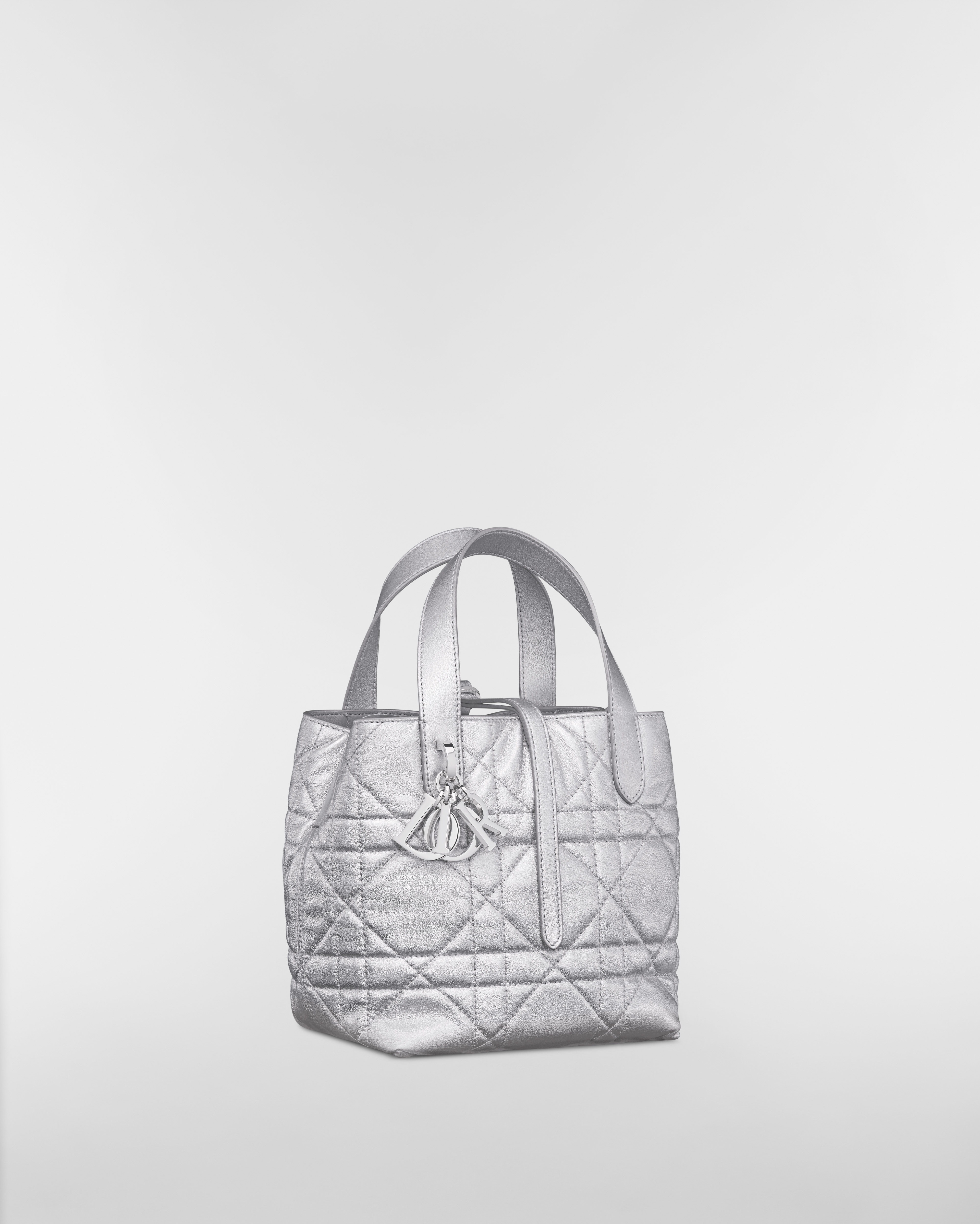 Small Dior Toujours Vertical Tote Bag Silver-Tone Iridescent Metallic Macrocannage Calfskin E03
