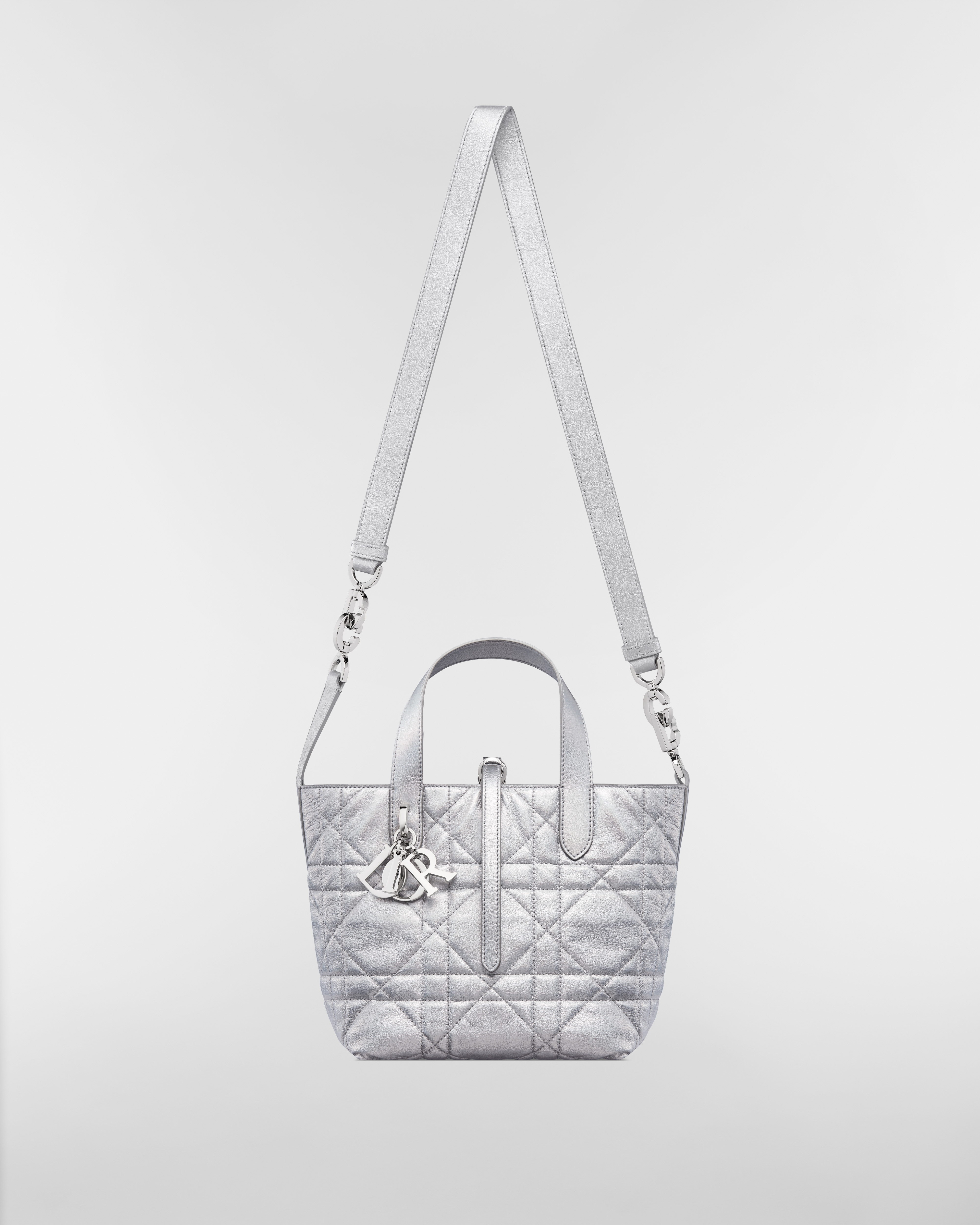 Small Dior Toujours Vertical Tote Bag Silver-Tone Iridescent Metallic Macrocannage Calfskin E07