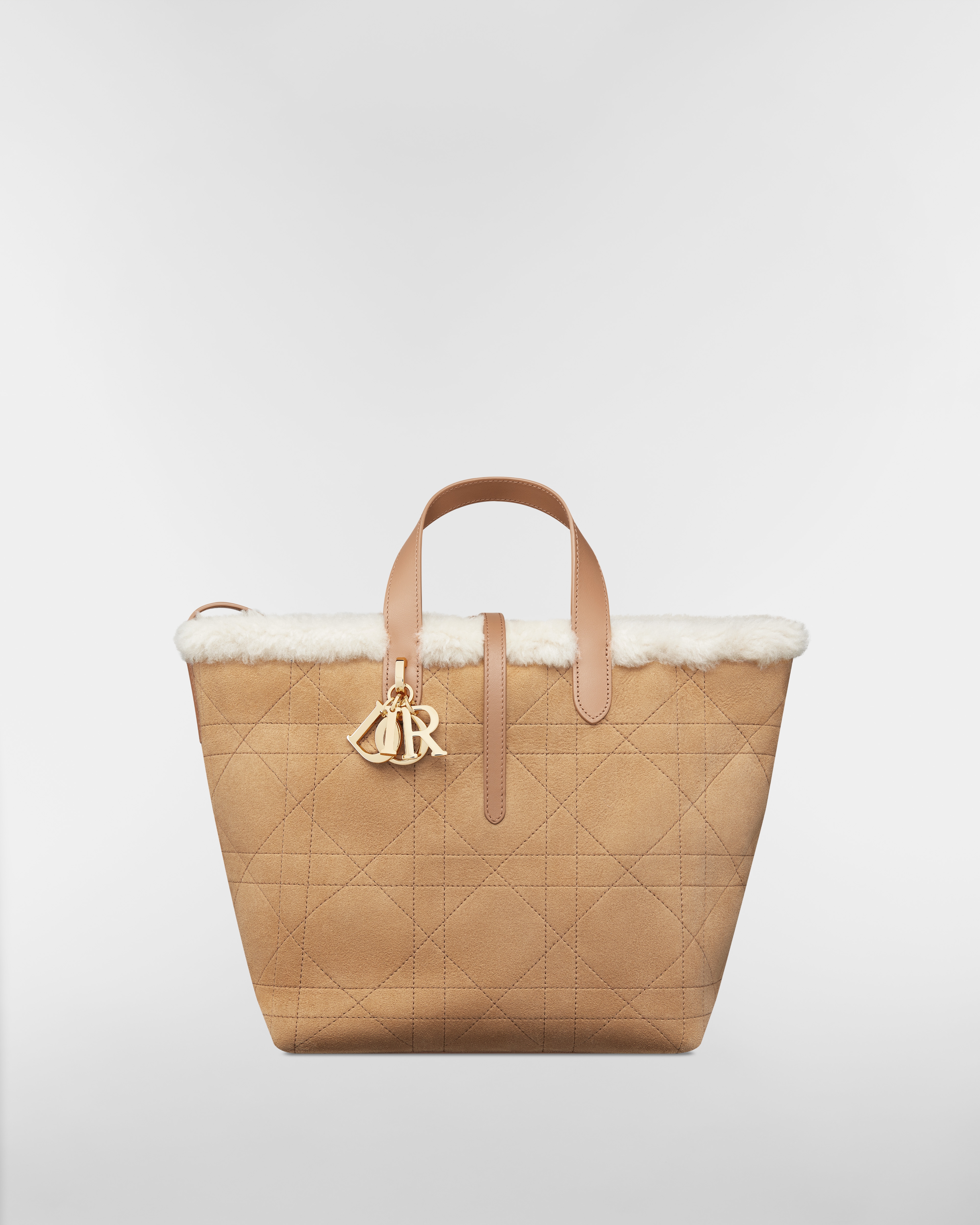 DiorAlps Medium Dior Toujours Vertical Tote Bag Beige Macrocannage Suede Calfskin and Ecru Merino Wool E01