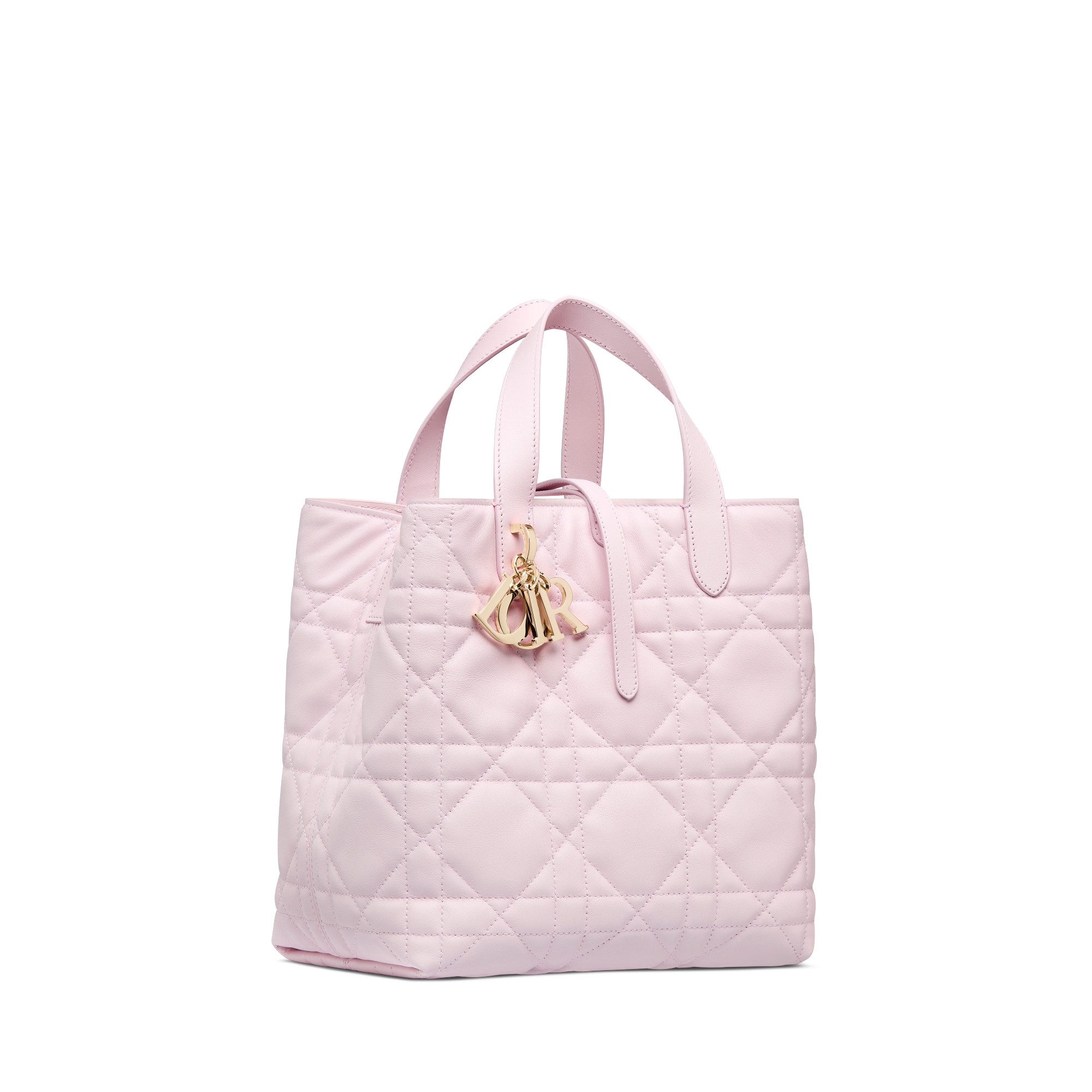 Dior Toujours 미디엄 버티컬 토트백 페일 핑크 매크로까나쥬 송아지 가죽 E03