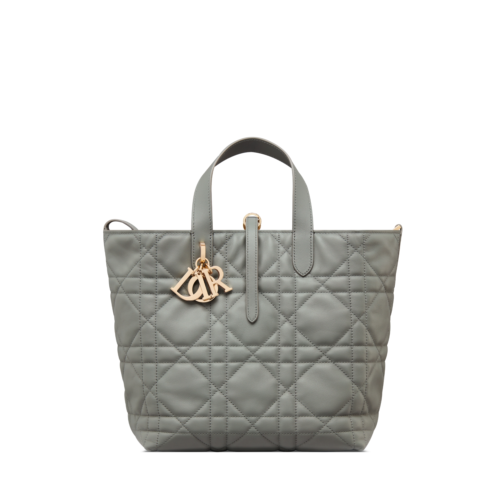 Dior Toujours 미디엄 버티컬 토트백 스톤 그레이 매크로까나쥬 송아지 가죽 E01