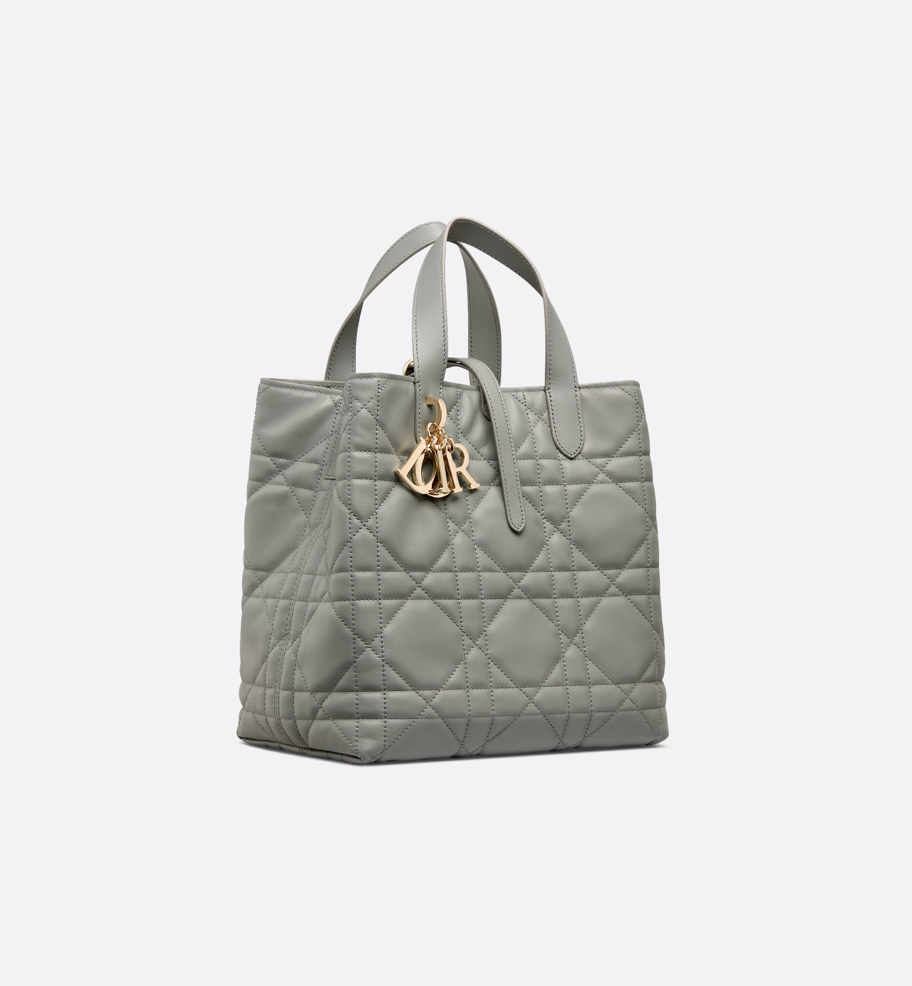 DIOR | Dior Toujours バーティカル トートバッグ ミディアム DIOR | Dior Toujours バーティカル トートバッグ ミディアム