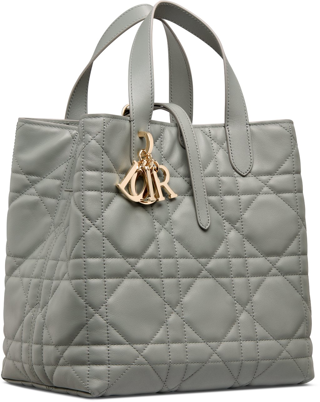 Medium Dior Toujours Vertical Tote Bag aria_woman_viewcode_e01
