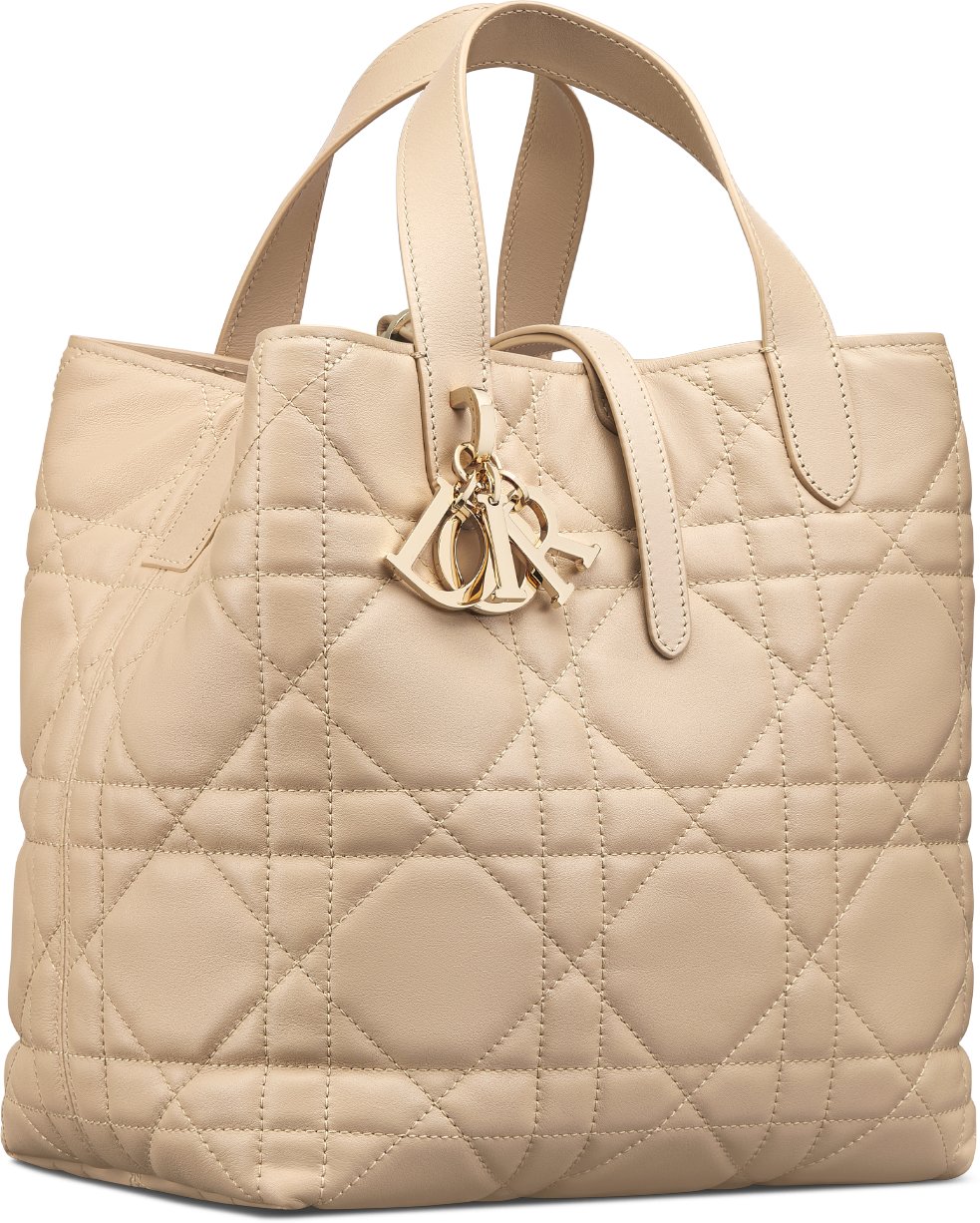 Sac cabas vertical Dior Toujours Medium aria_woman_viewcode_e01
