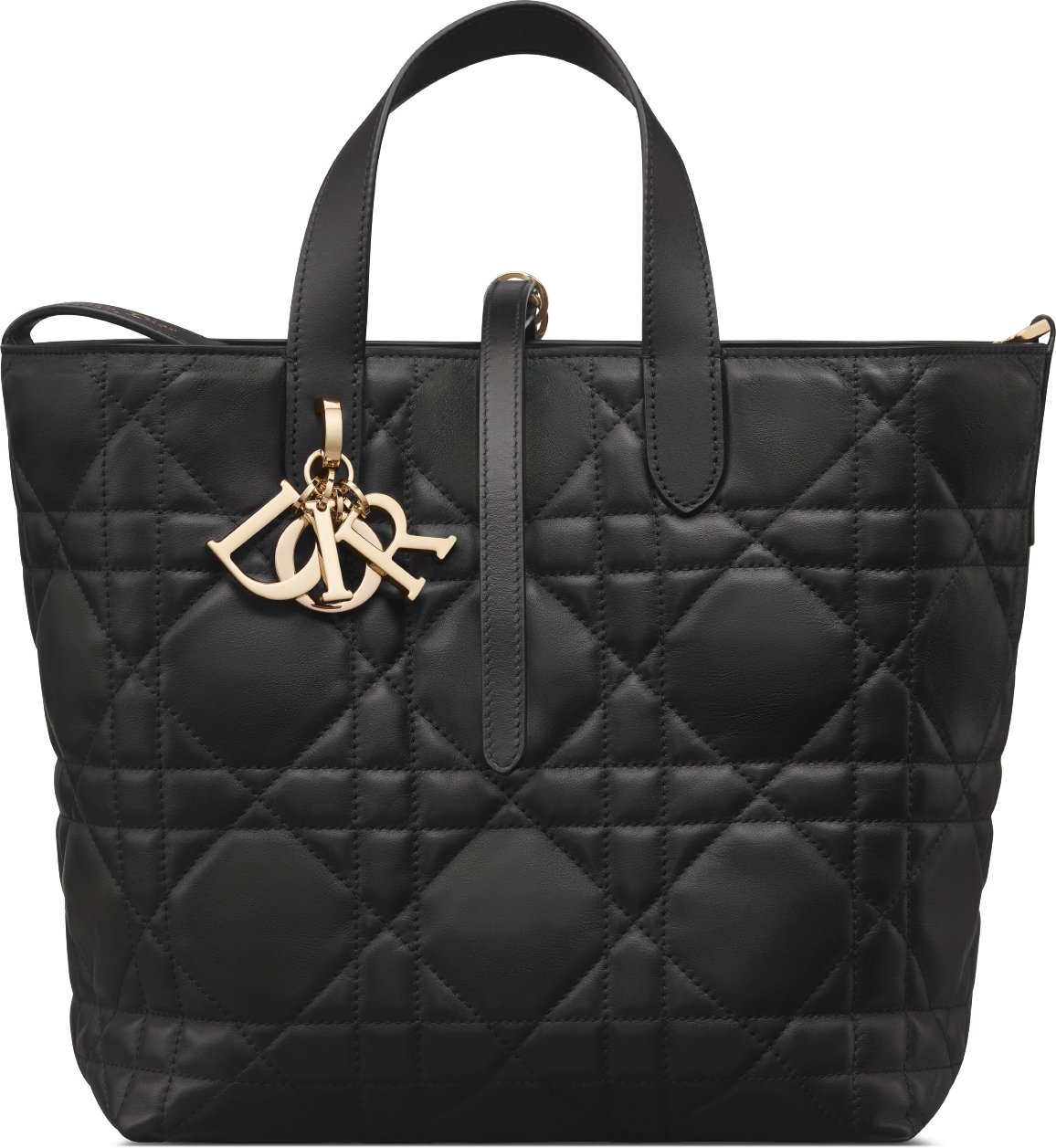 Medium Dior Toujours Vertical Tote Bag Front view