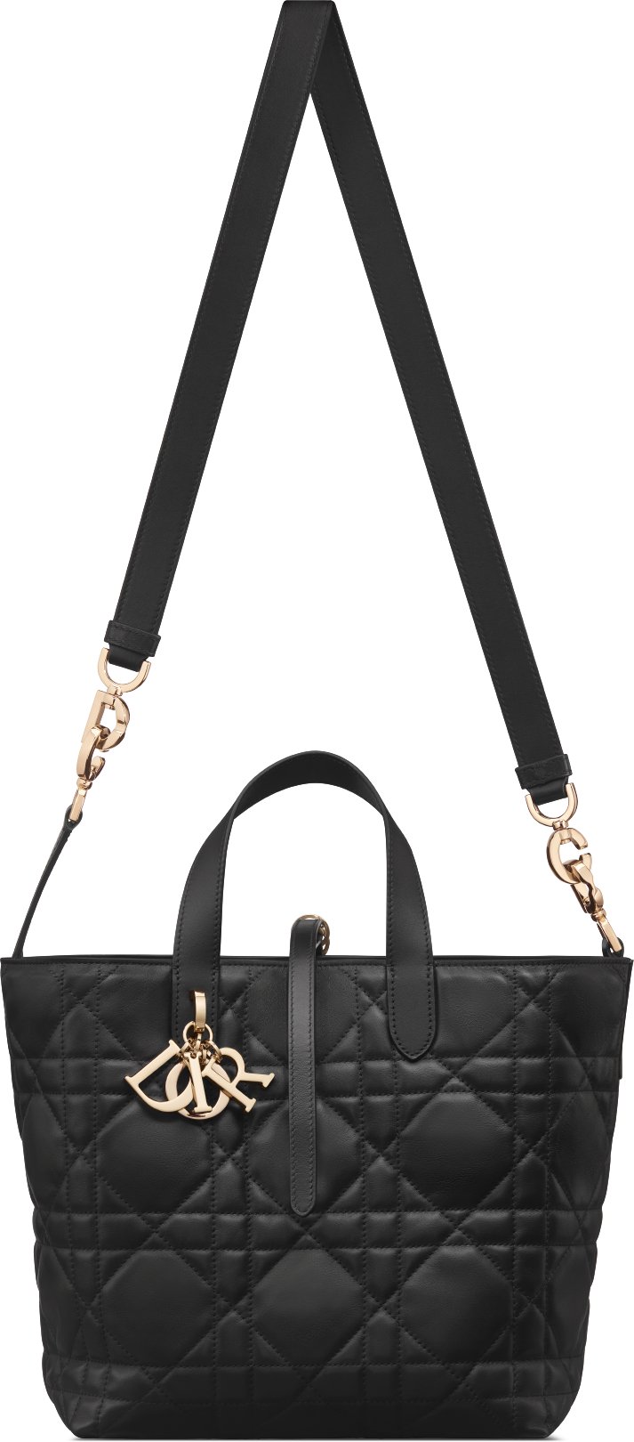Medium Dior Toujours Vertical Tote Bag Unfolded view