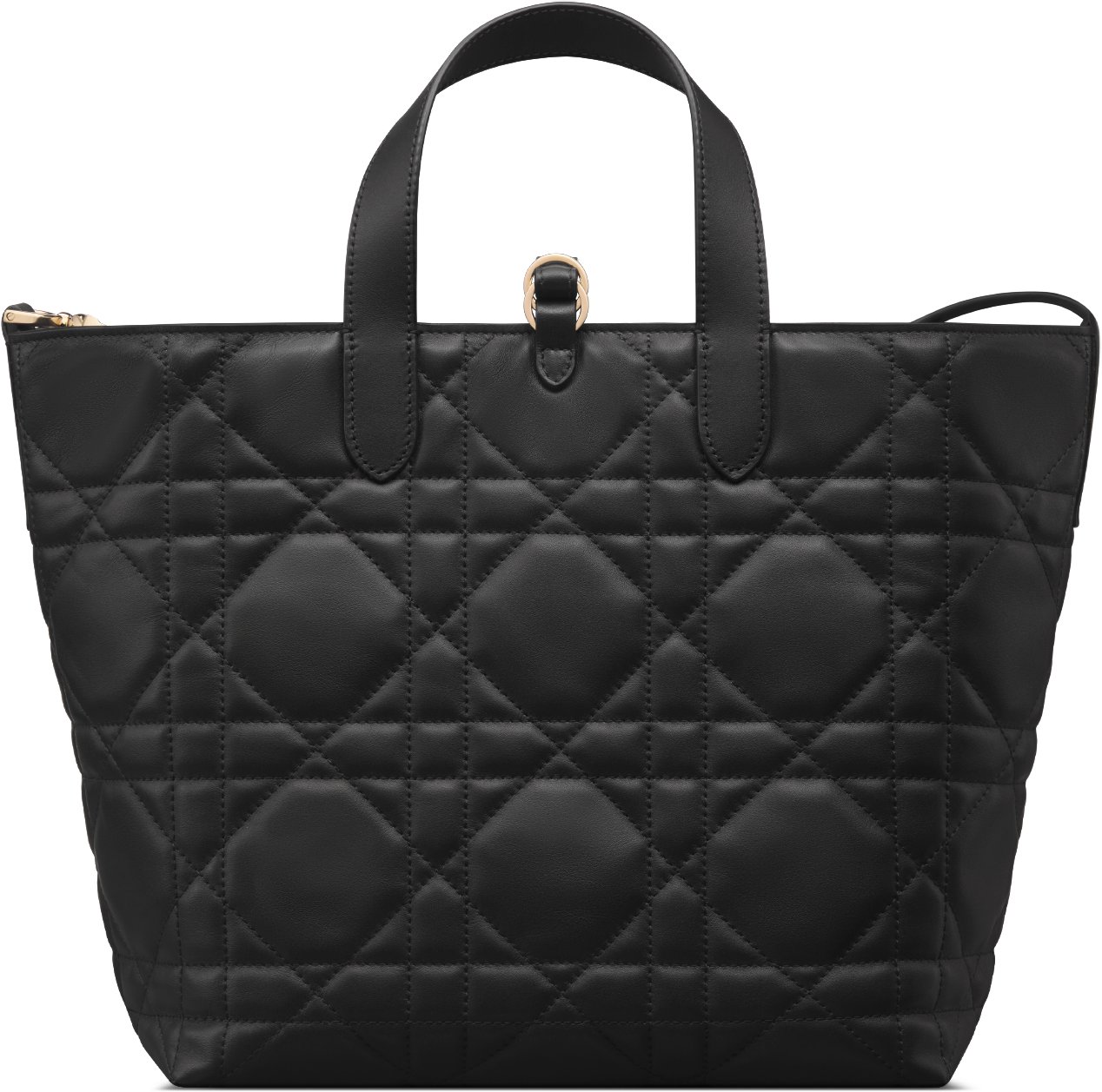 Medium Dior Toujours Vertical Tote Bag Back view